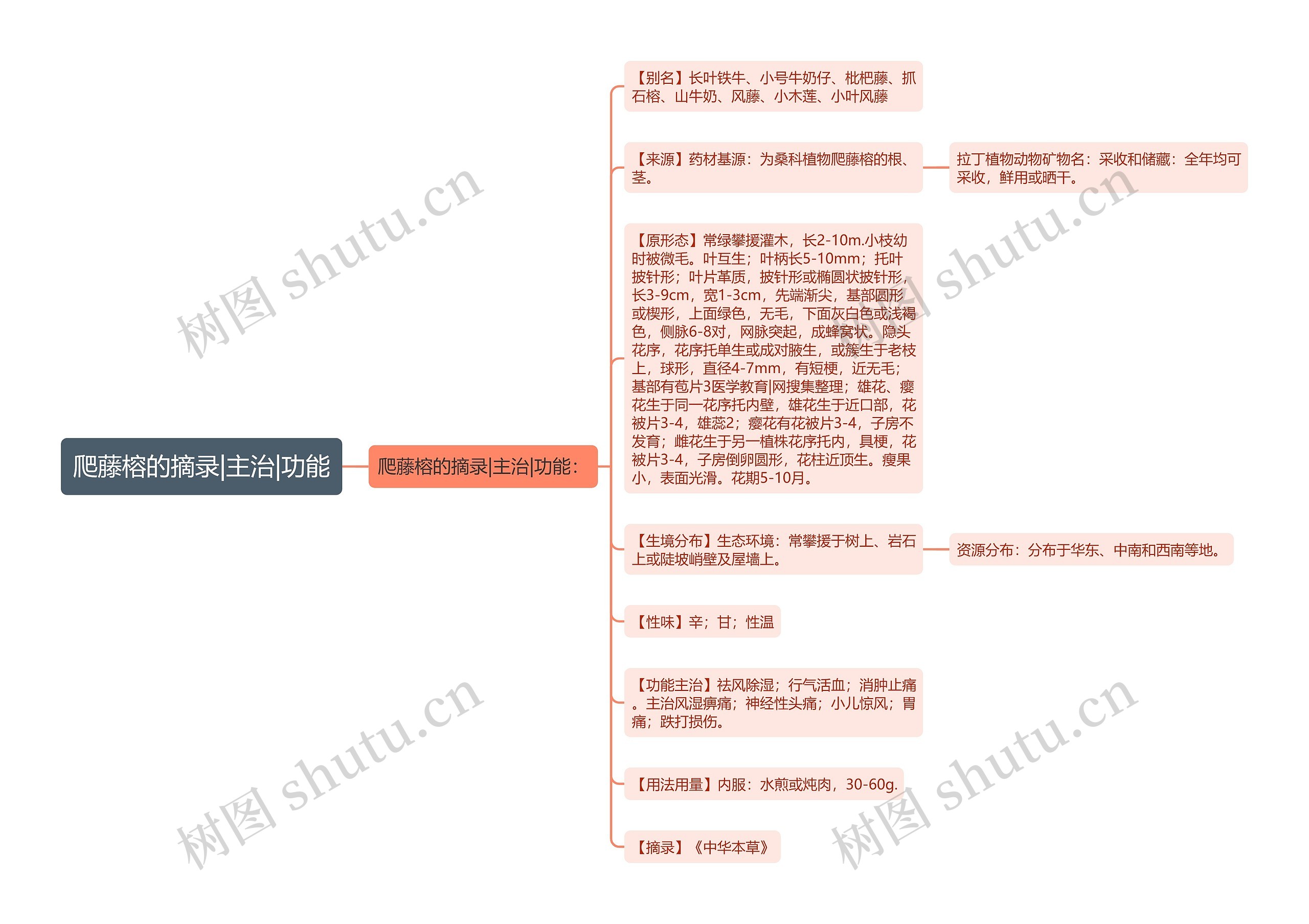 爬藤榕的摘录|主治|功能 爬藤榕的摘录|主治|功能