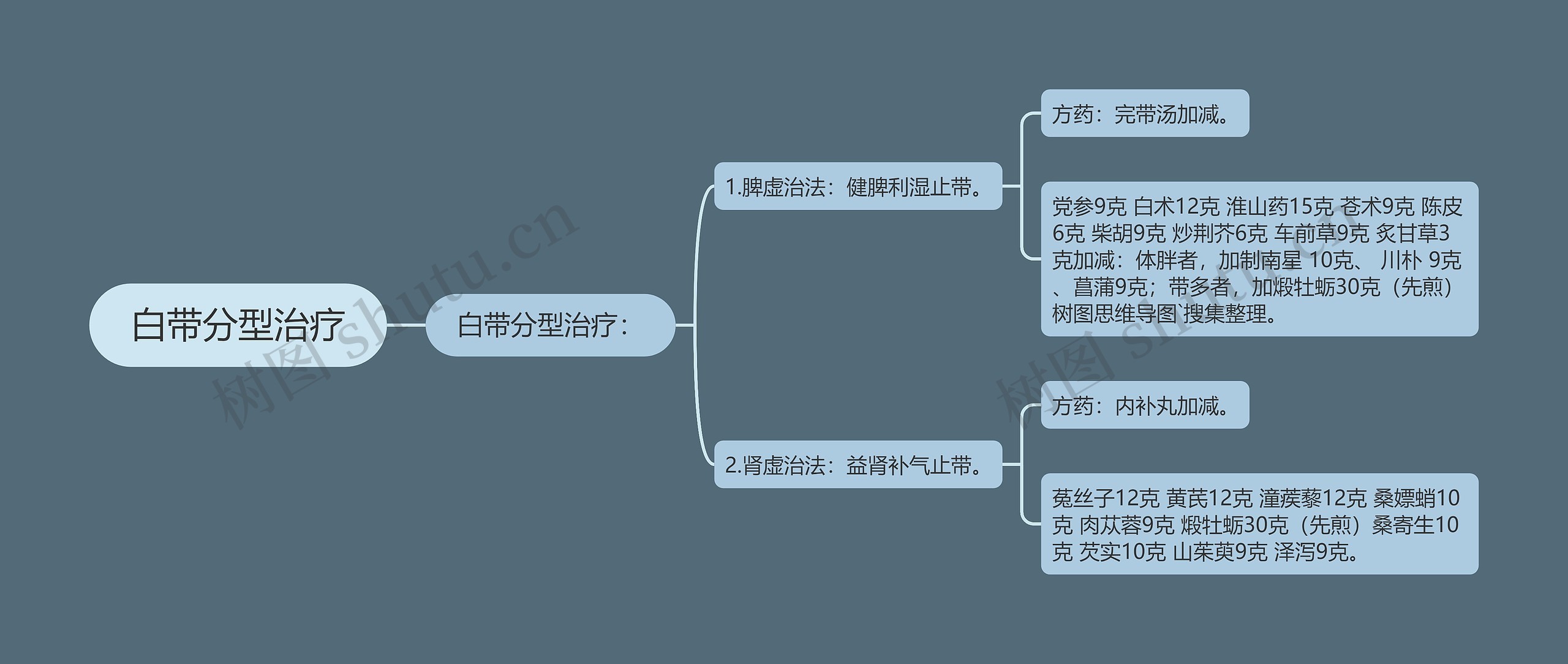 白带分型治疗思维导图