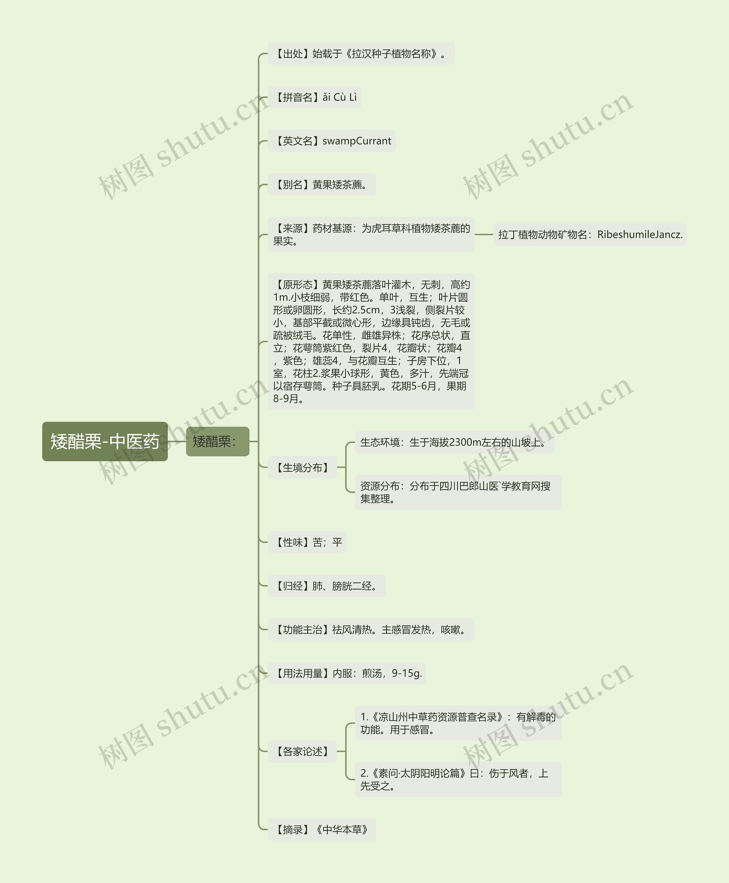 矮醋栗-中医药思维导图