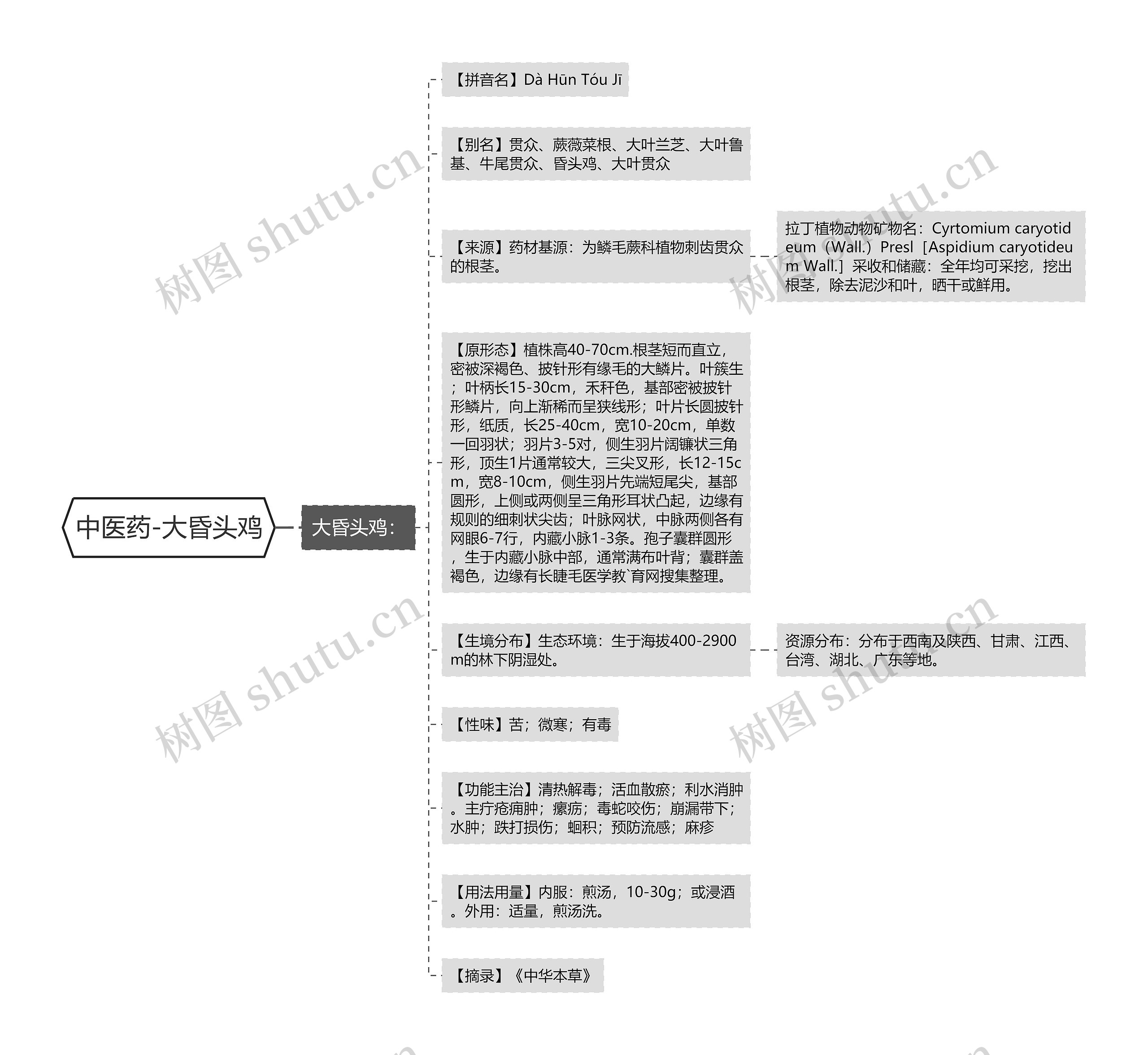 中医药-大昏头鸡思维导图