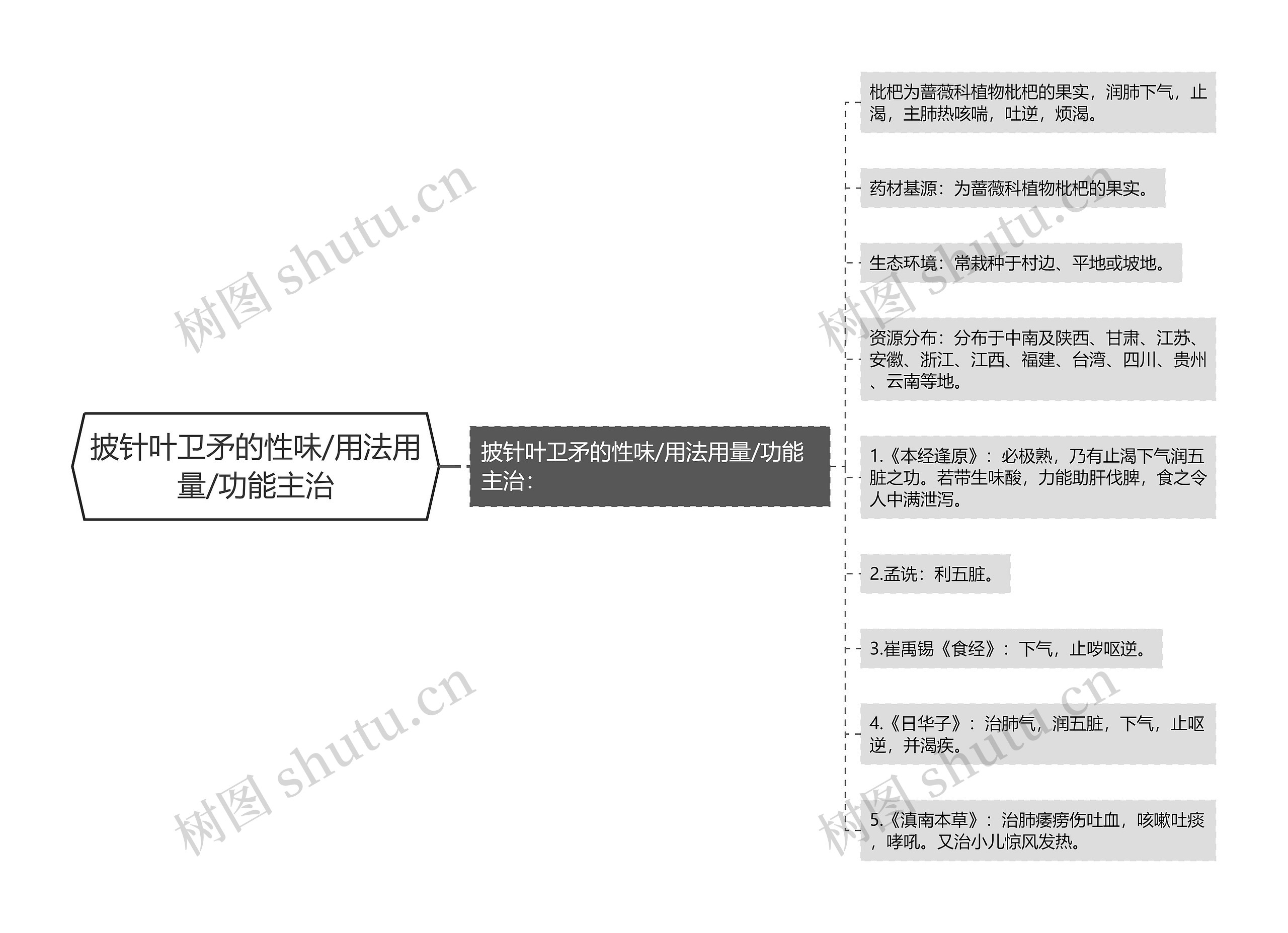 披针叶卫矛的性味/用法用量/功能主治