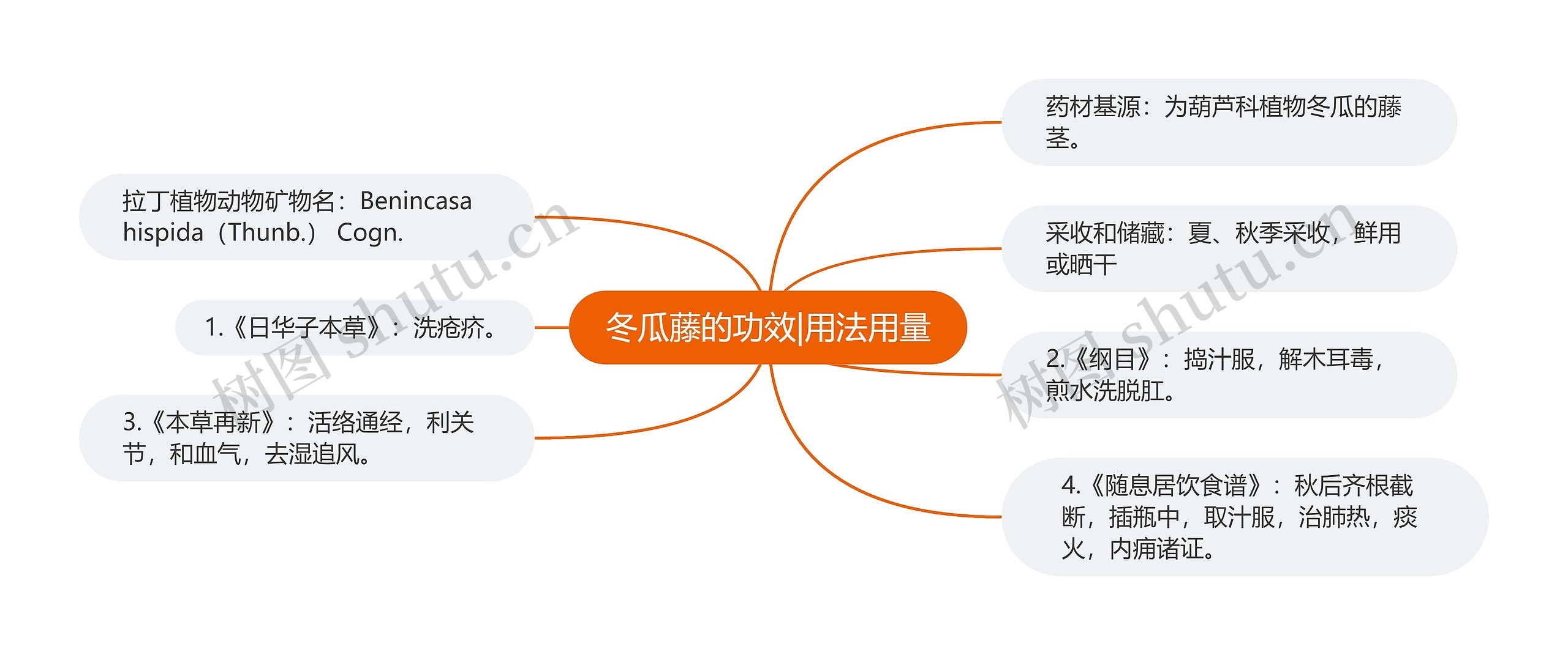 冬瓜藤的功效|用法用量思维导图