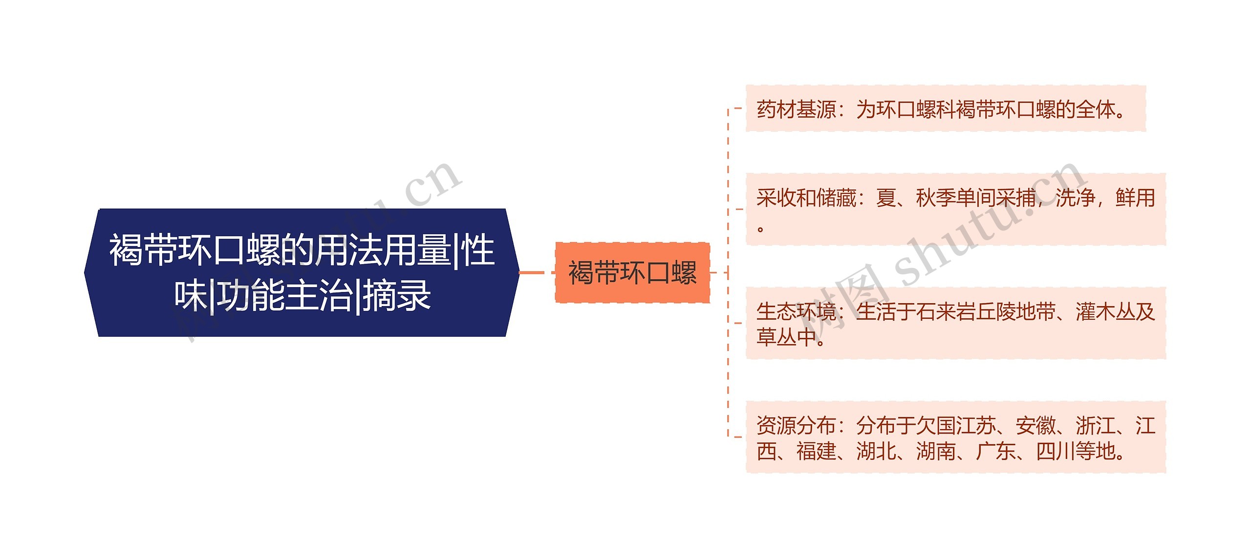 褐带环口螺的用法用量|性味|功能主治|摘录