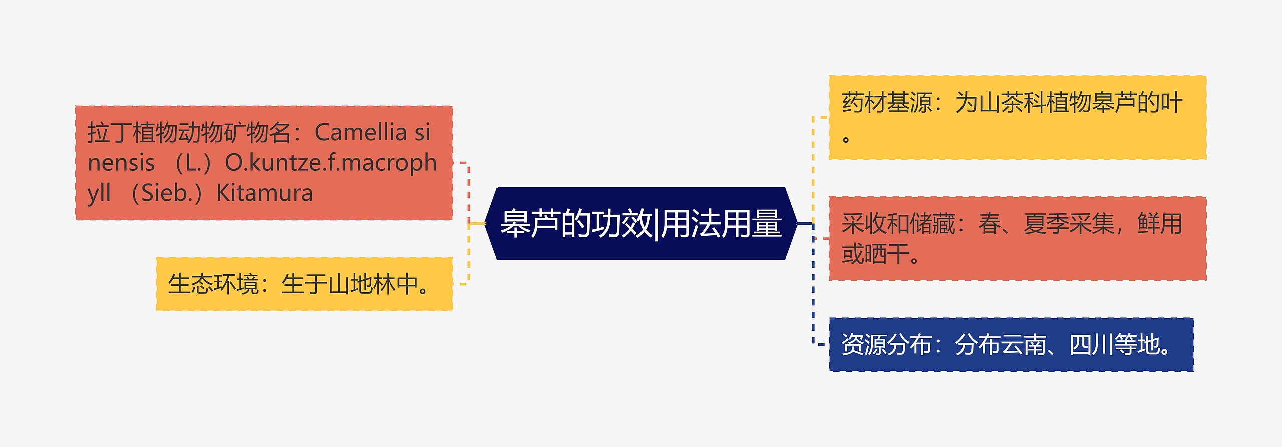 皋芦的功效|用法用量思维导图