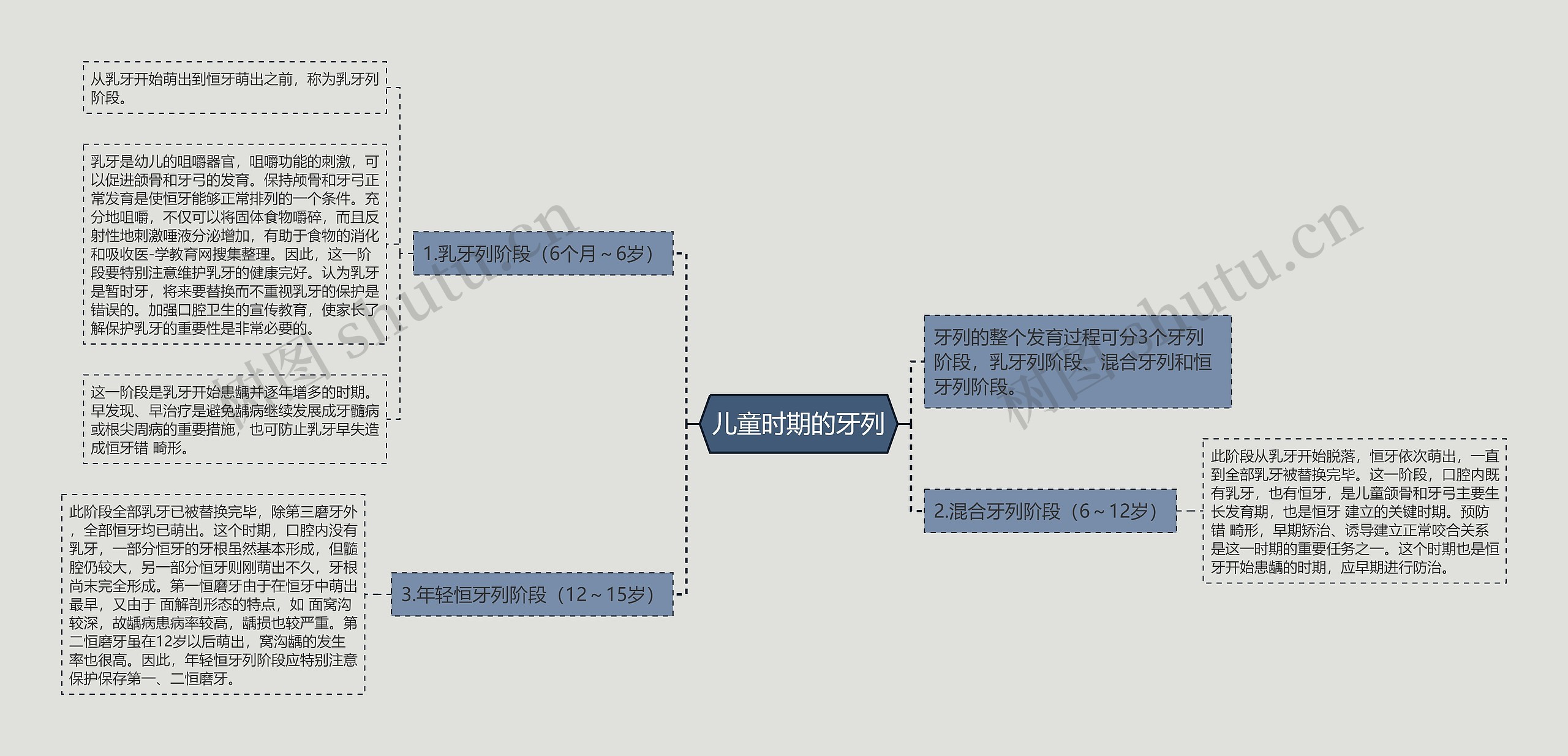 儿童时期的牙列 儿童时期的牙列
