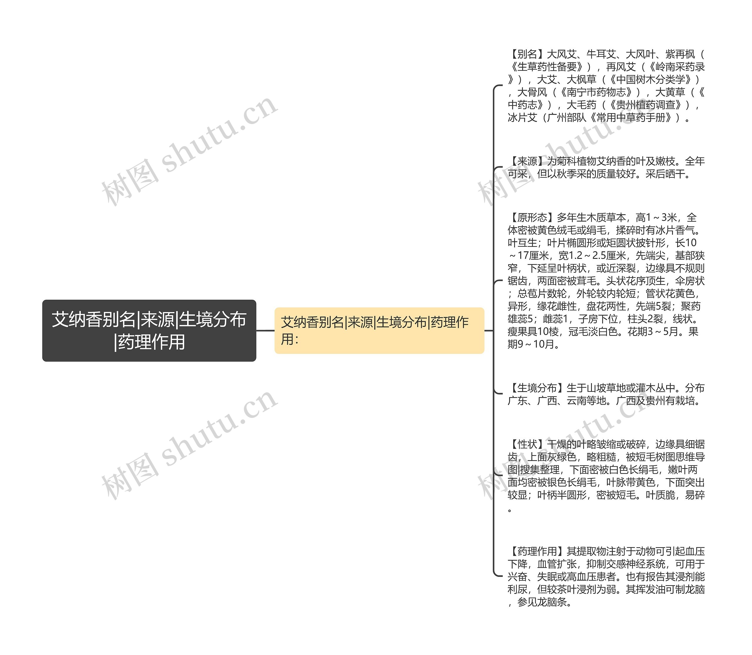 艾纳香别名|来源|生境分布|药理作用思维导图