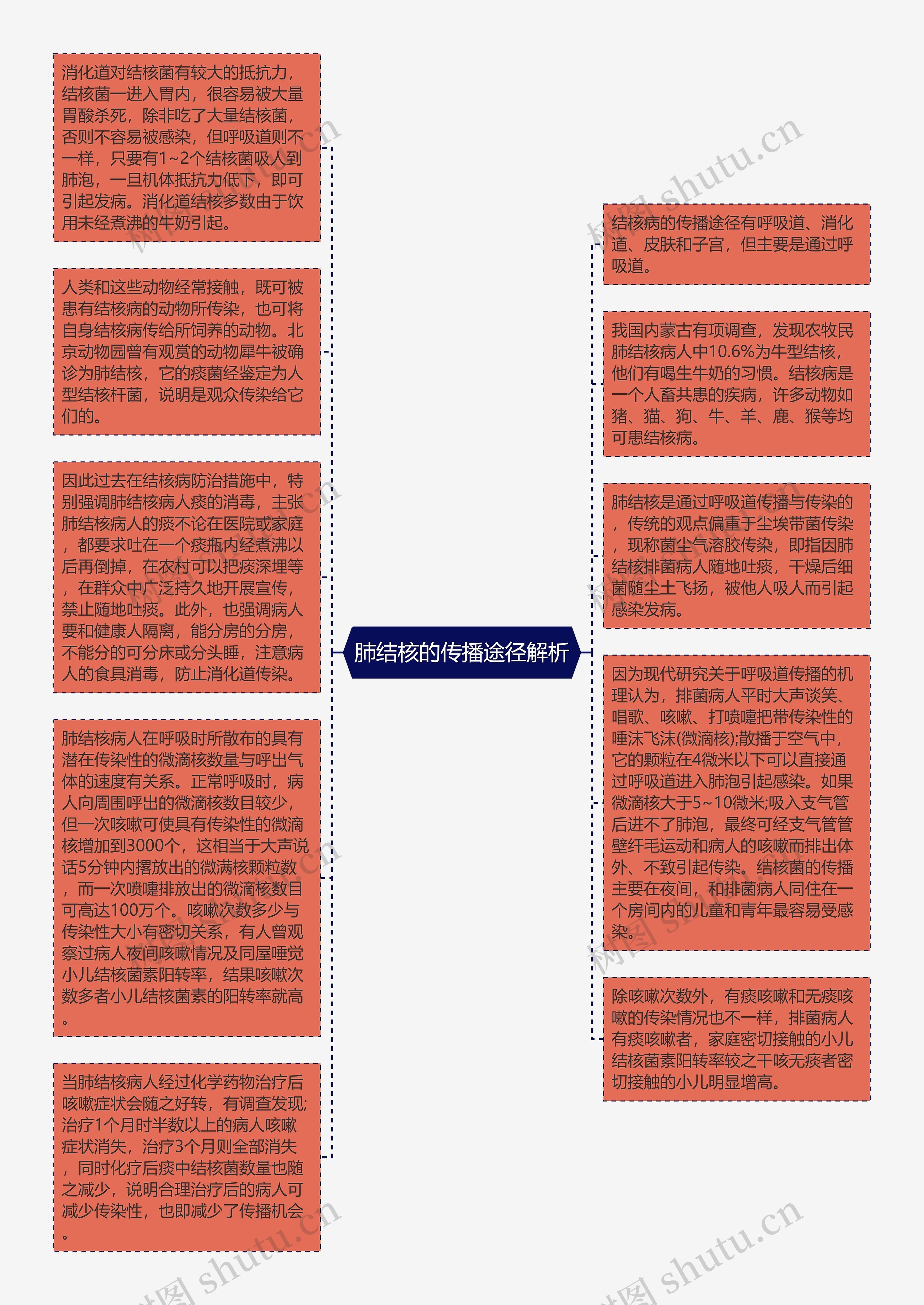 肺结核的传播途径解析