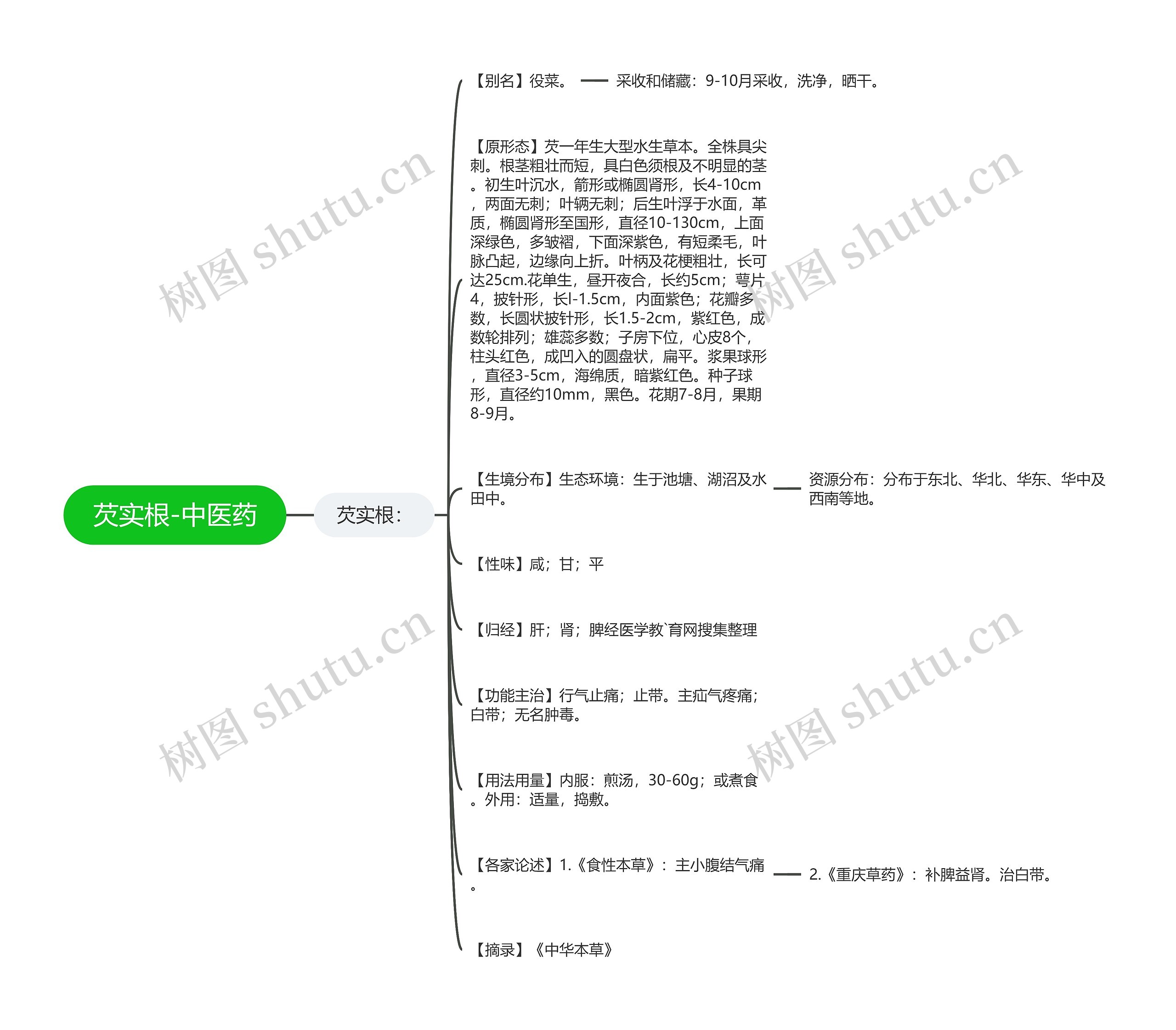 芡实根-中医药思维导图