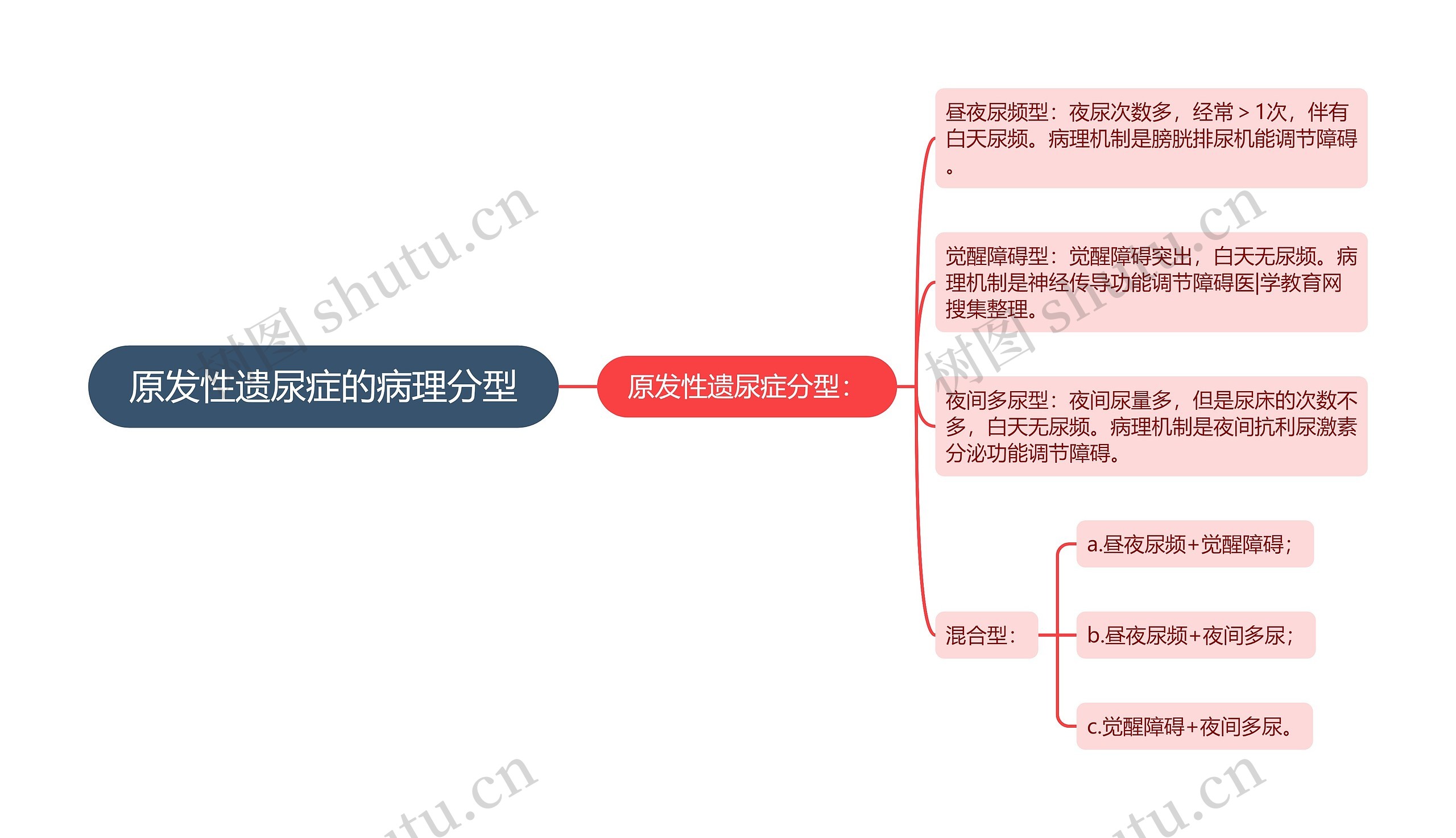 原发性遗尿症的病理分型