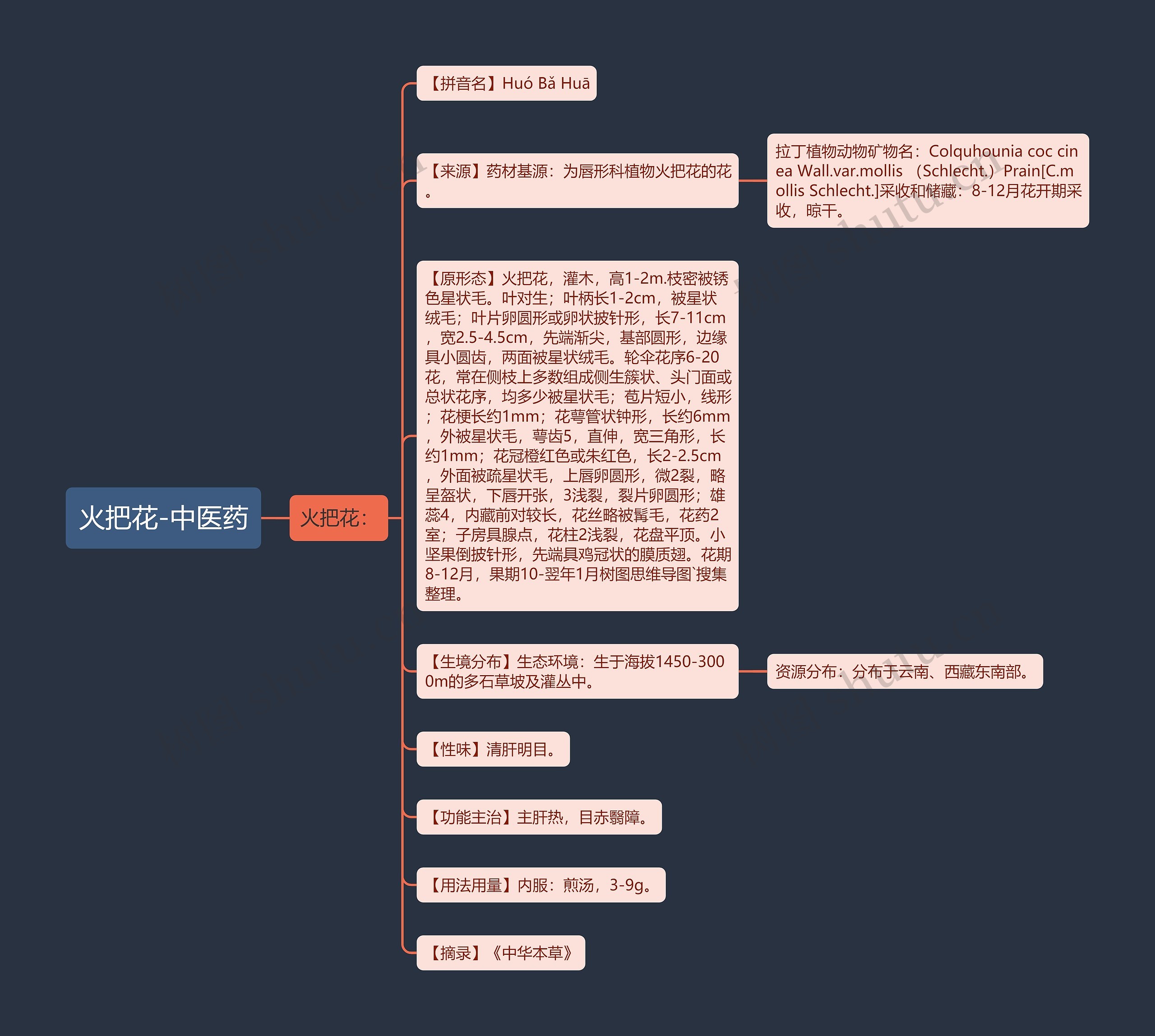 火把花-中医药思维导图