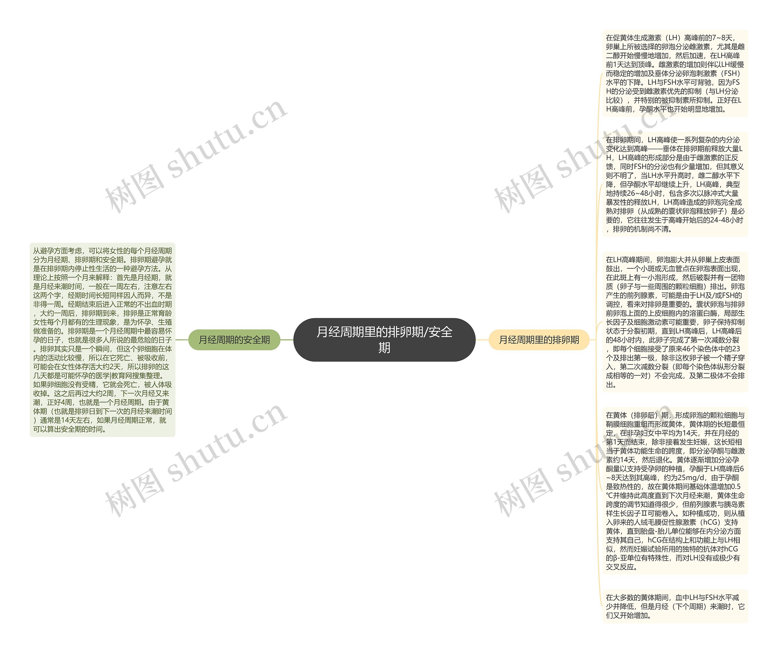 月经周期里的排卵期/安全期思维导图