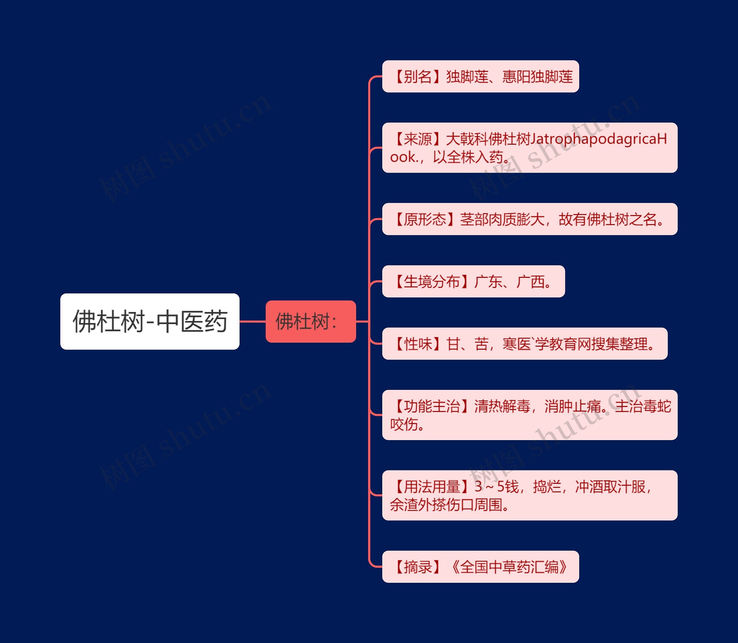 佛杜树-中医药思维导图