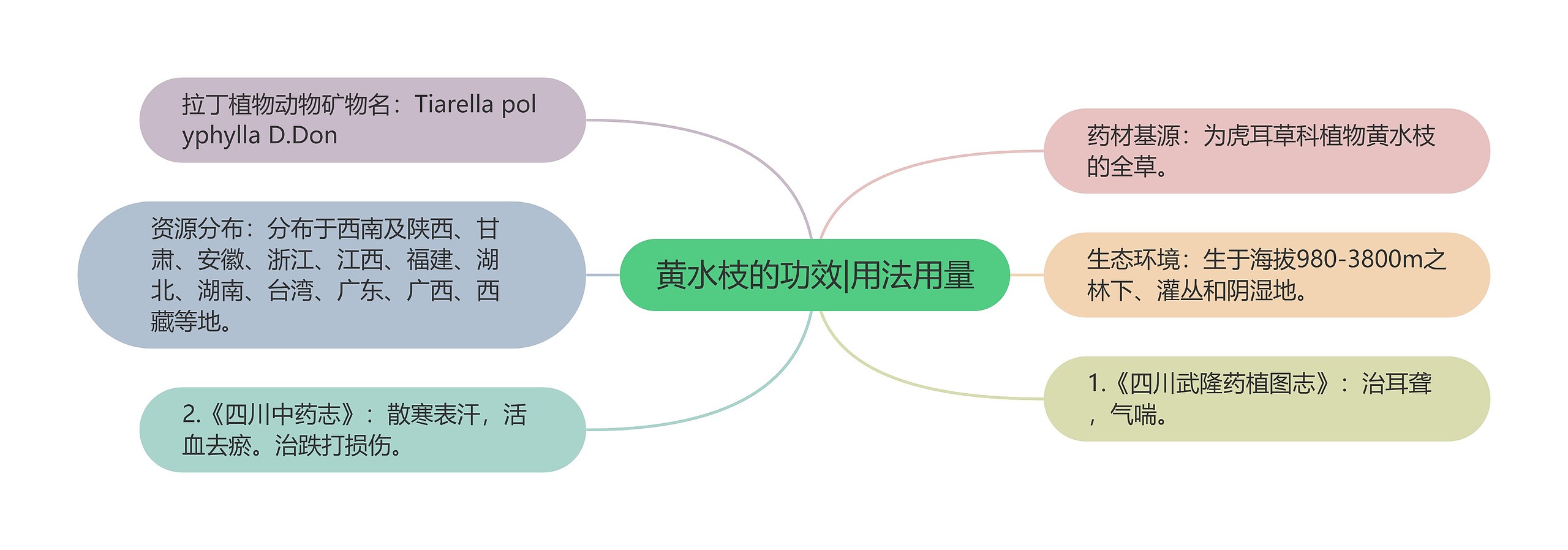 黄水枝的功效|用法用量思维导图