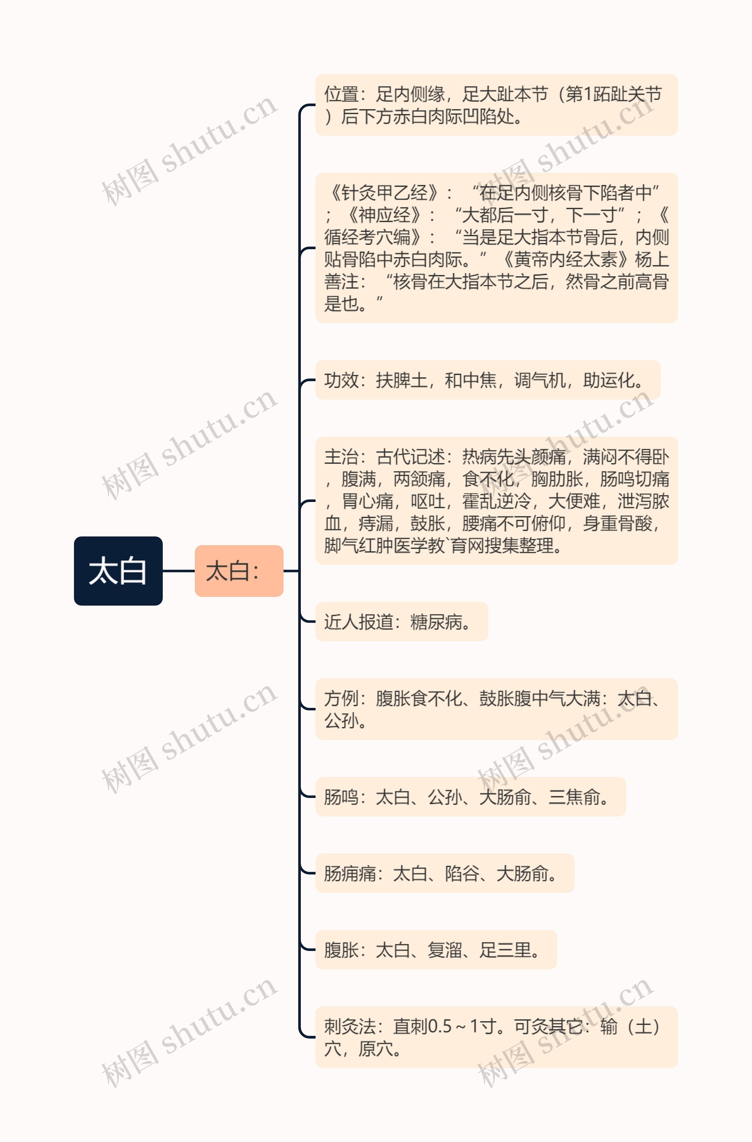 太白思维导图