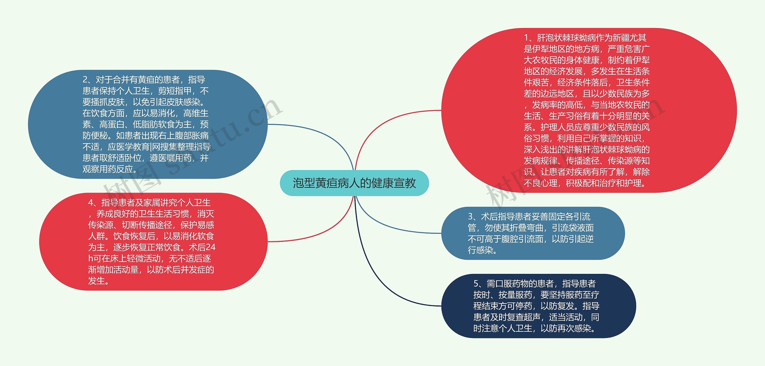 泡型黄疸病人的健康宣教思维导图