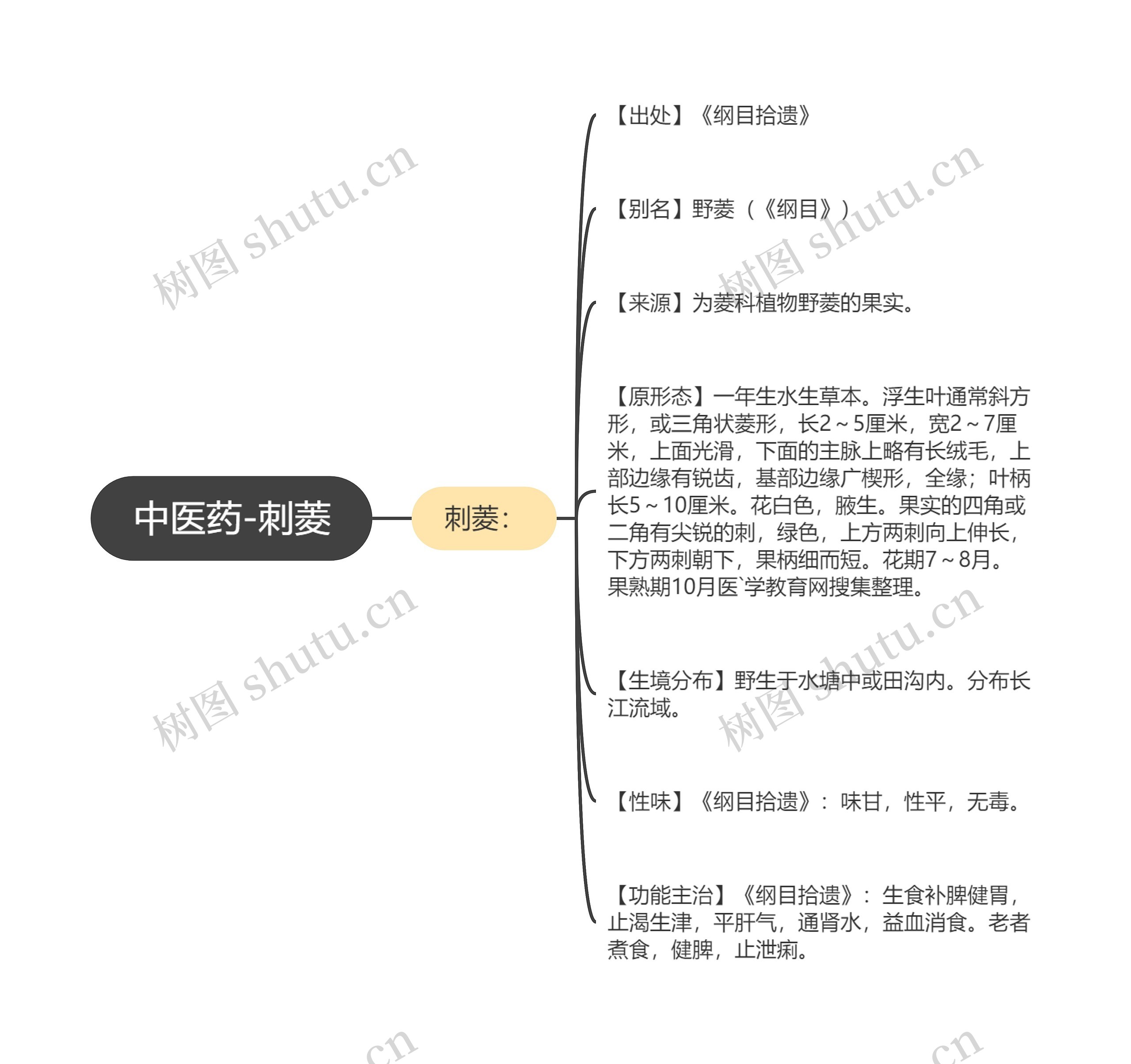 中医药-刺菱 中医药-刺菱