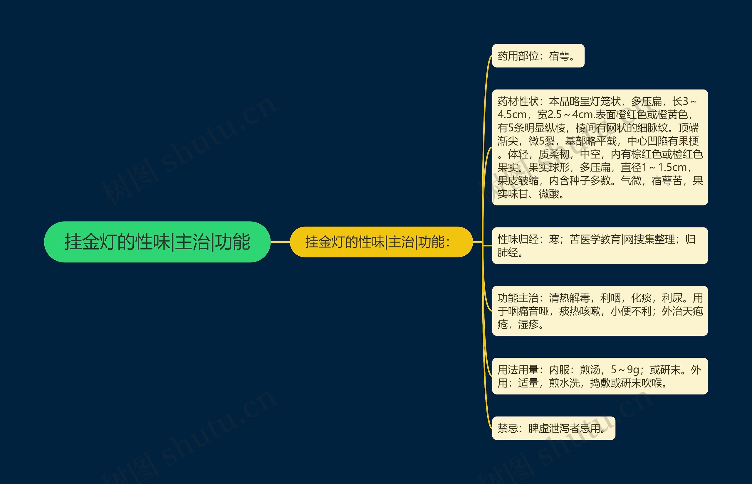 挂金灯的性味|主治|功能思维导图