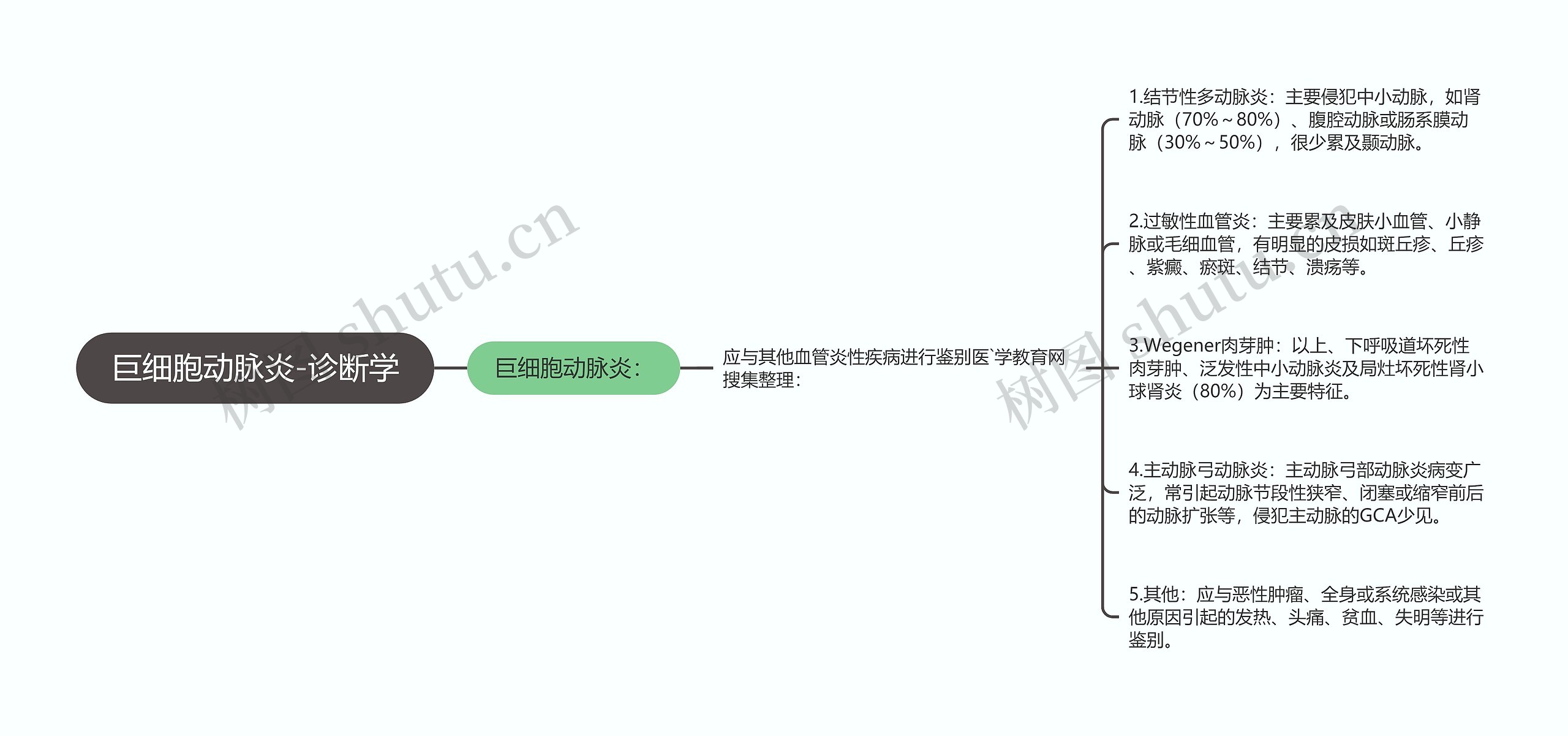 巨细胞动脉炎-诊断学思维导图