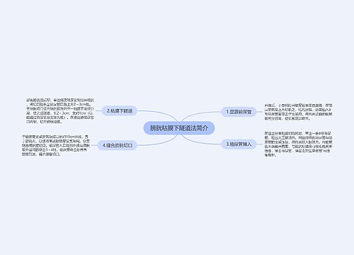 膀胱粘膜下隧道法简介