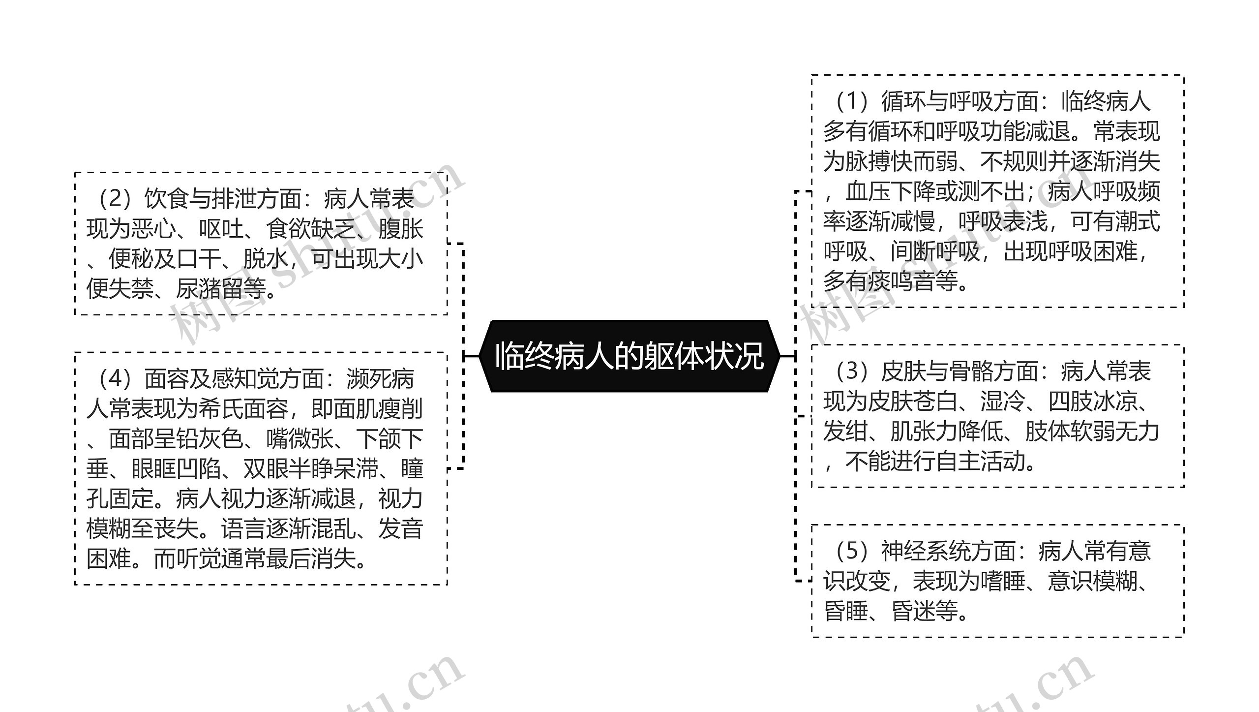 临终病人的躯体状况