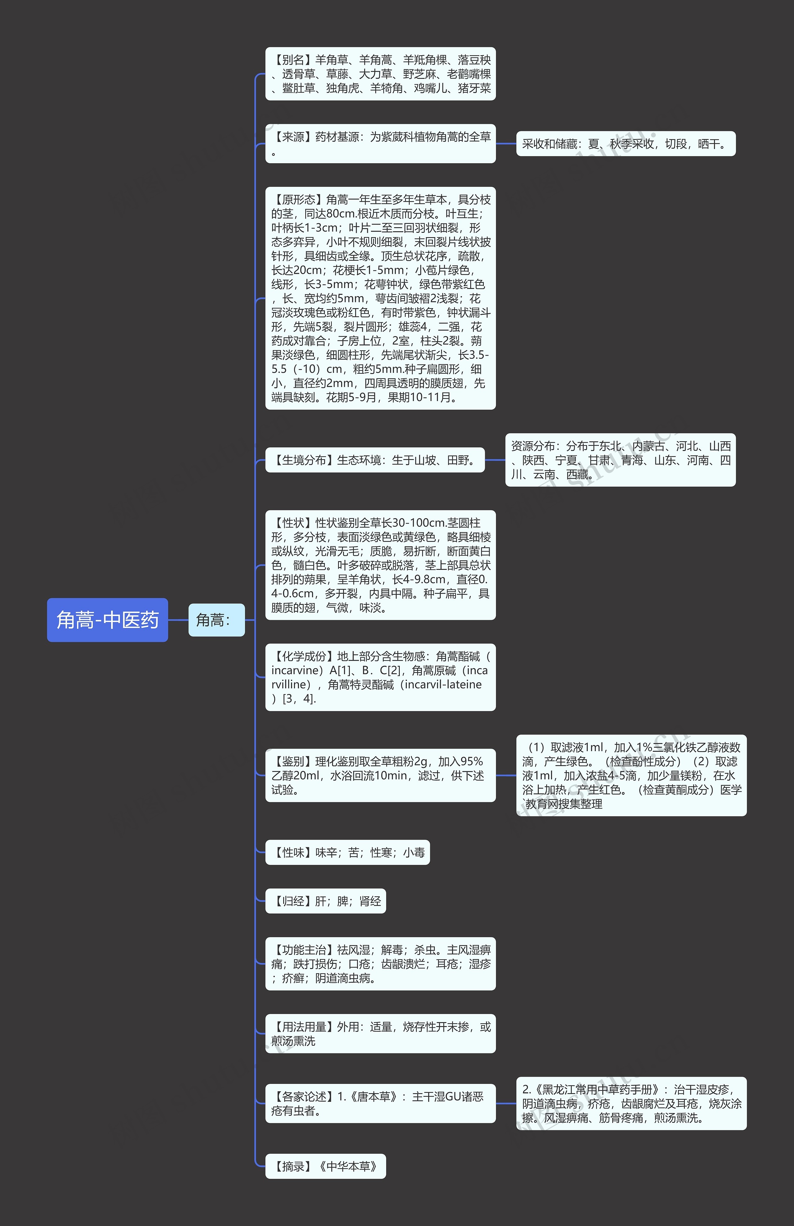角蒿-中医药思维导图