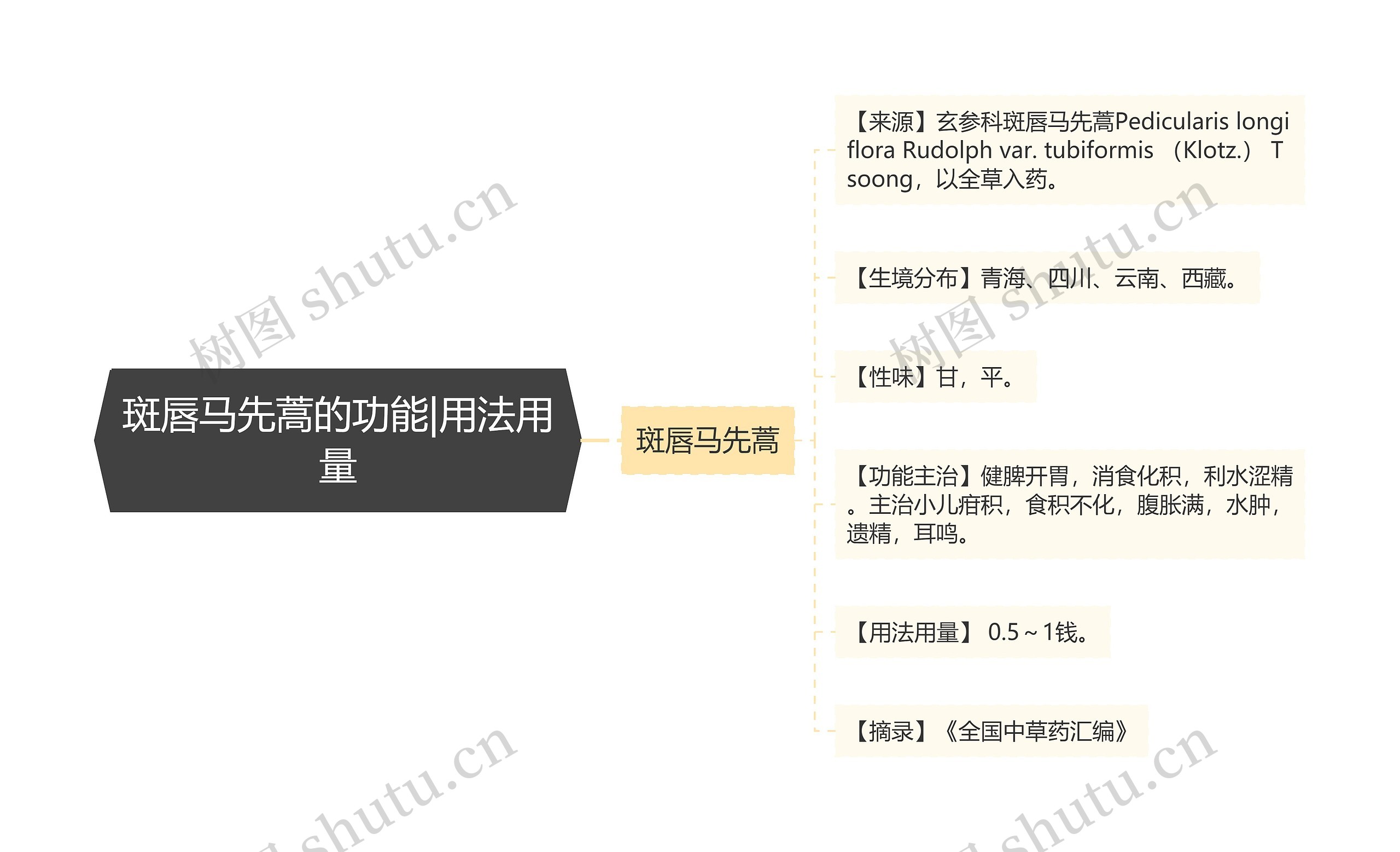 斑唇马先蒿的功能|用法用量