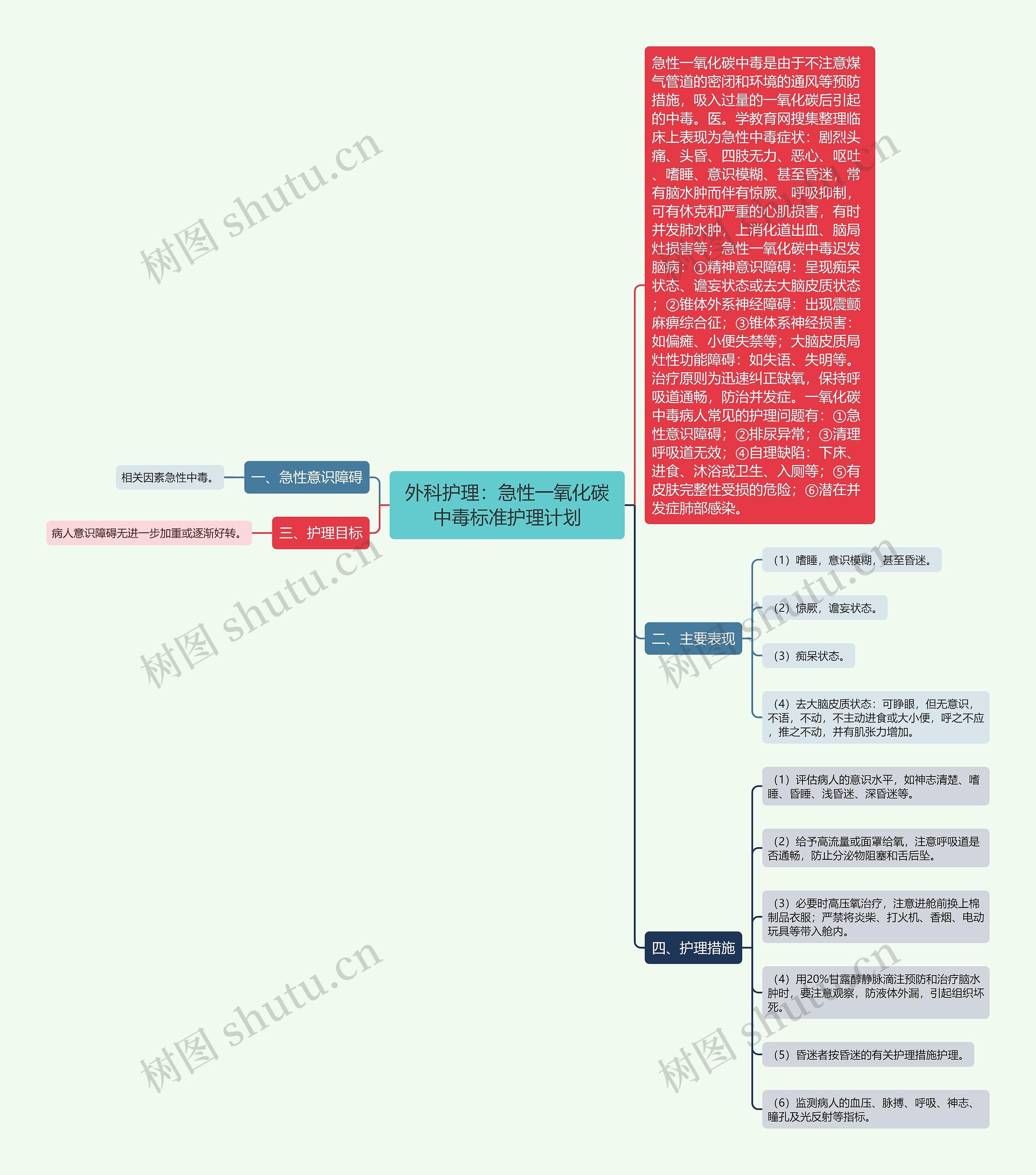 外科护理：急性一氧化碳中毒标准护理计划思维导图