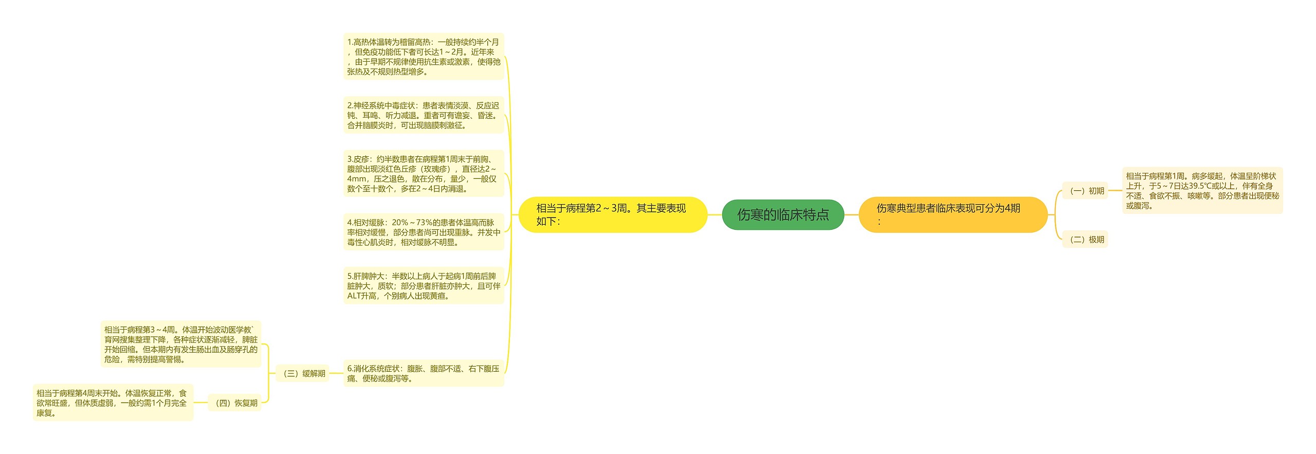 伤寒的临床特点