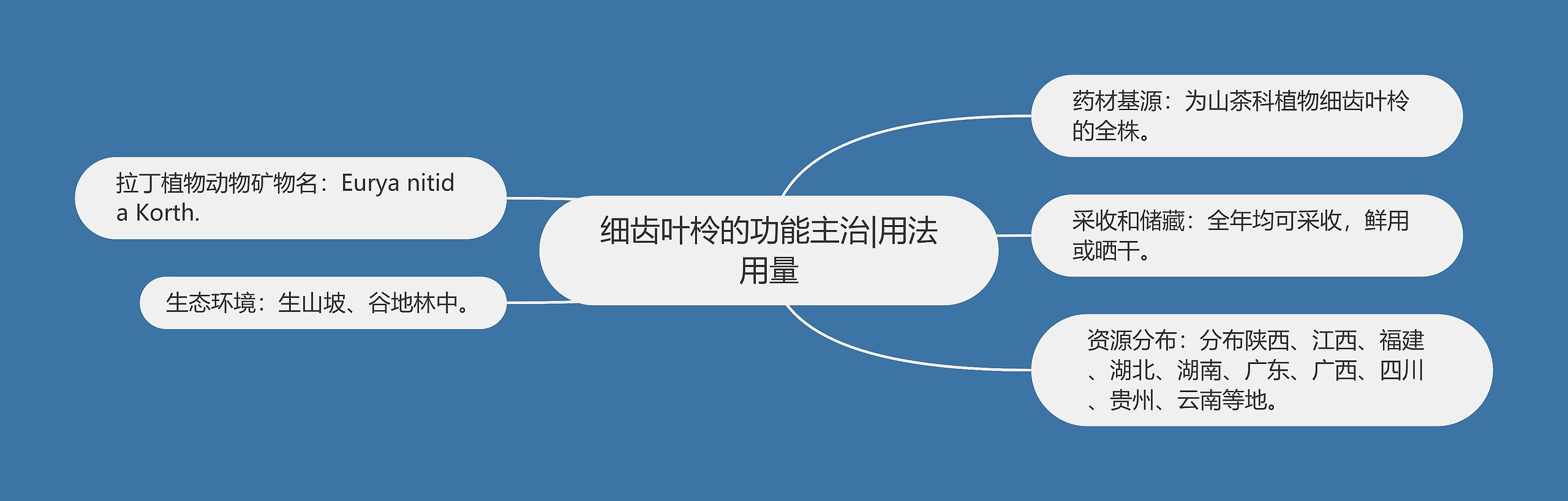 细齿叶柃的功能主治|用法用量