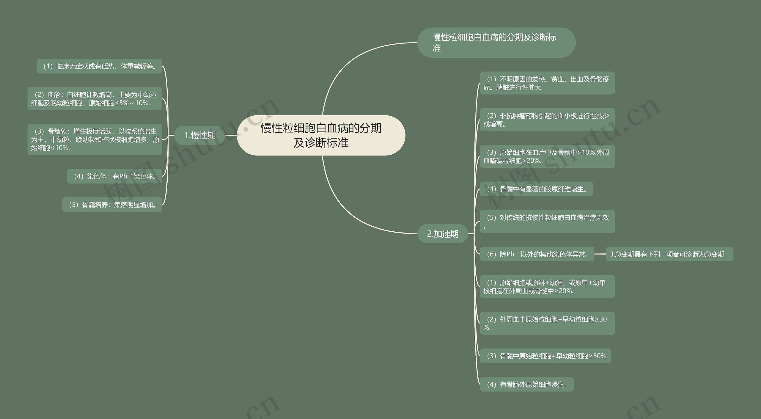 慢性粒细胞白血病的分期及诊断标准