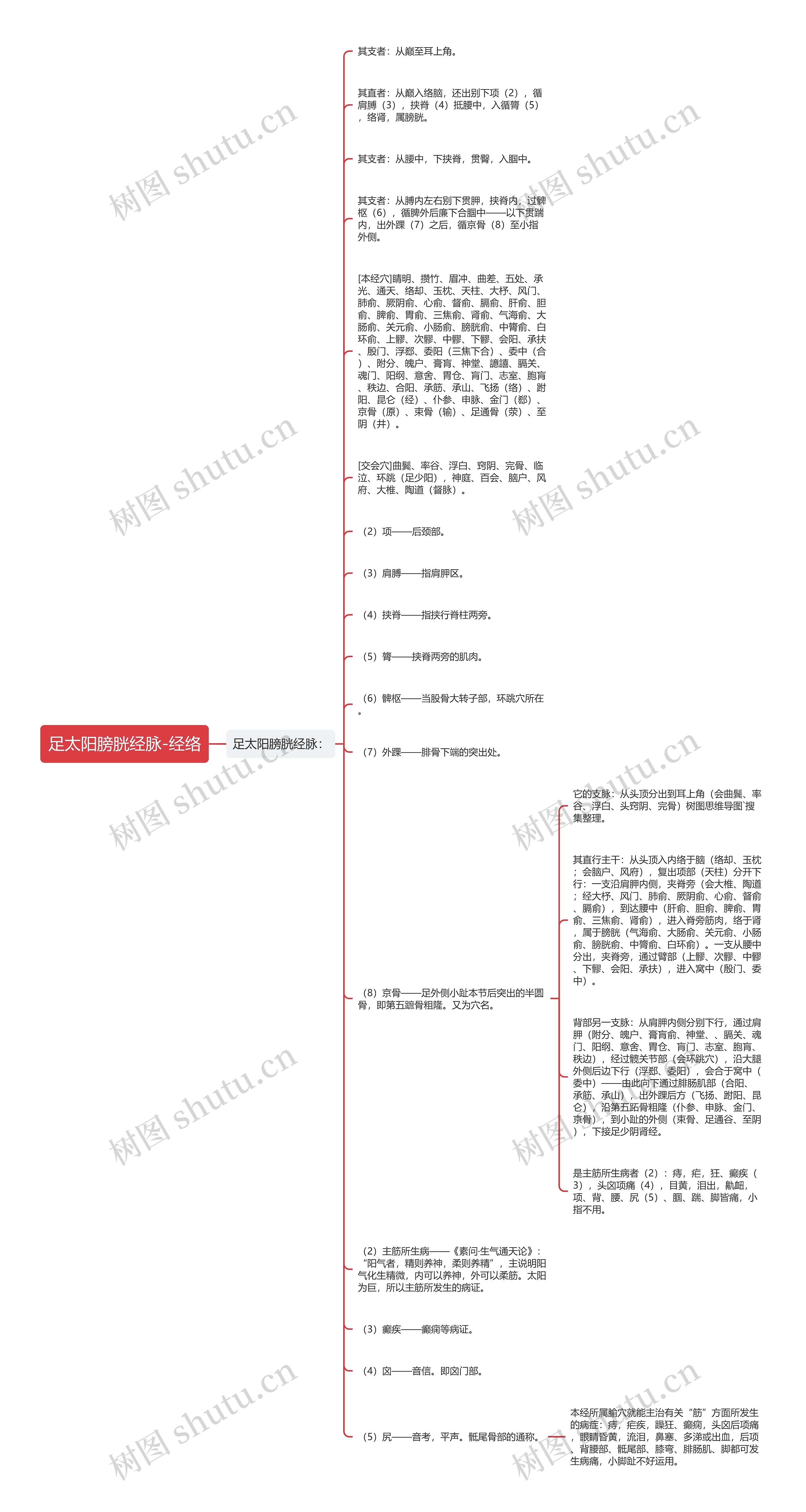 足太阳膀胱经脉-经络思维导图