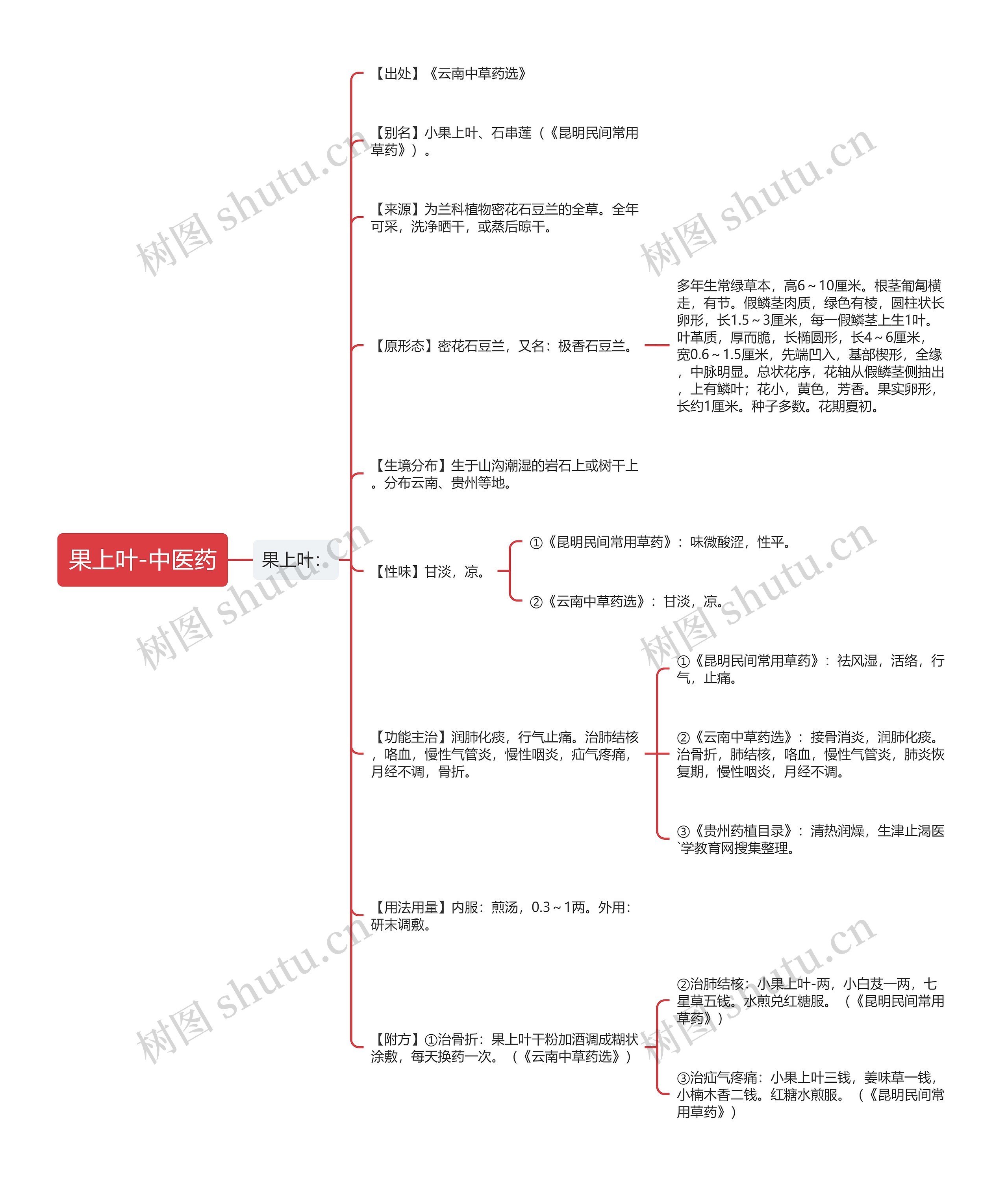 果上叶-中医药思维导图