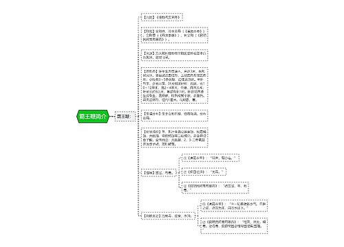 霸王鞭简介