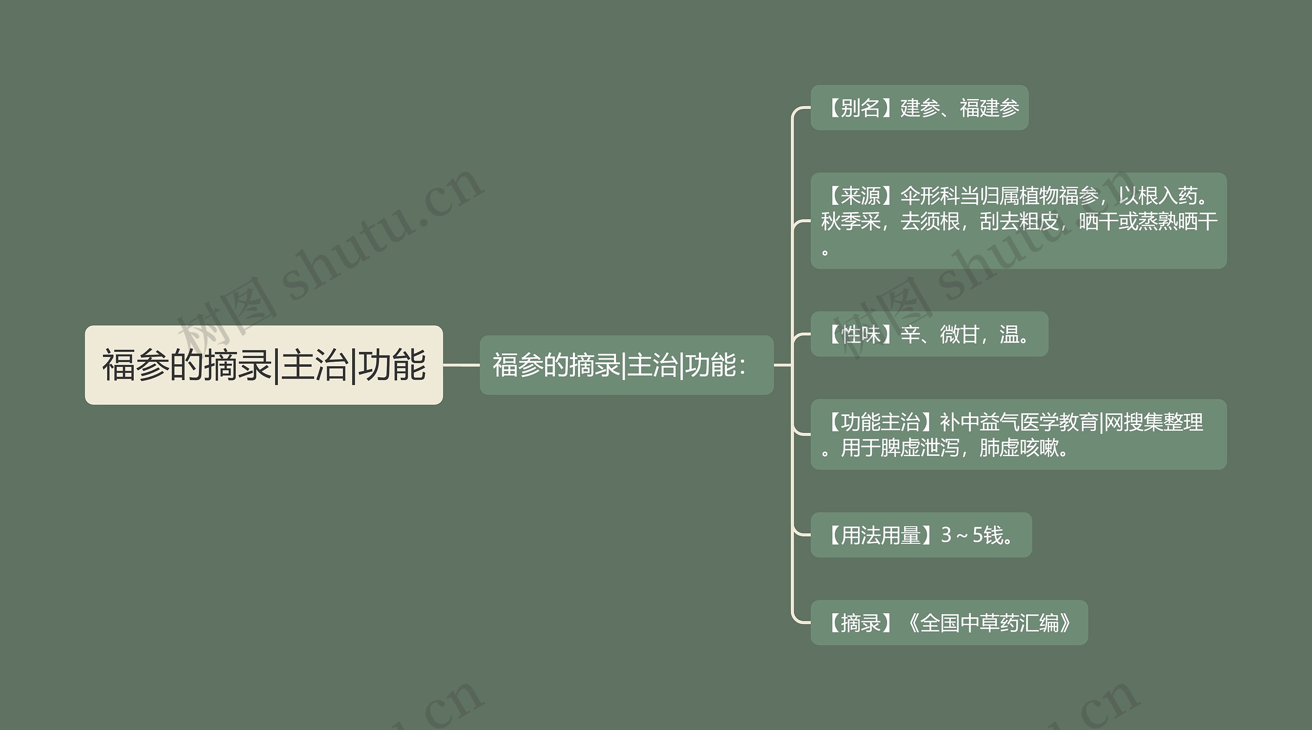 福参的摘录|主治|功能思维导图