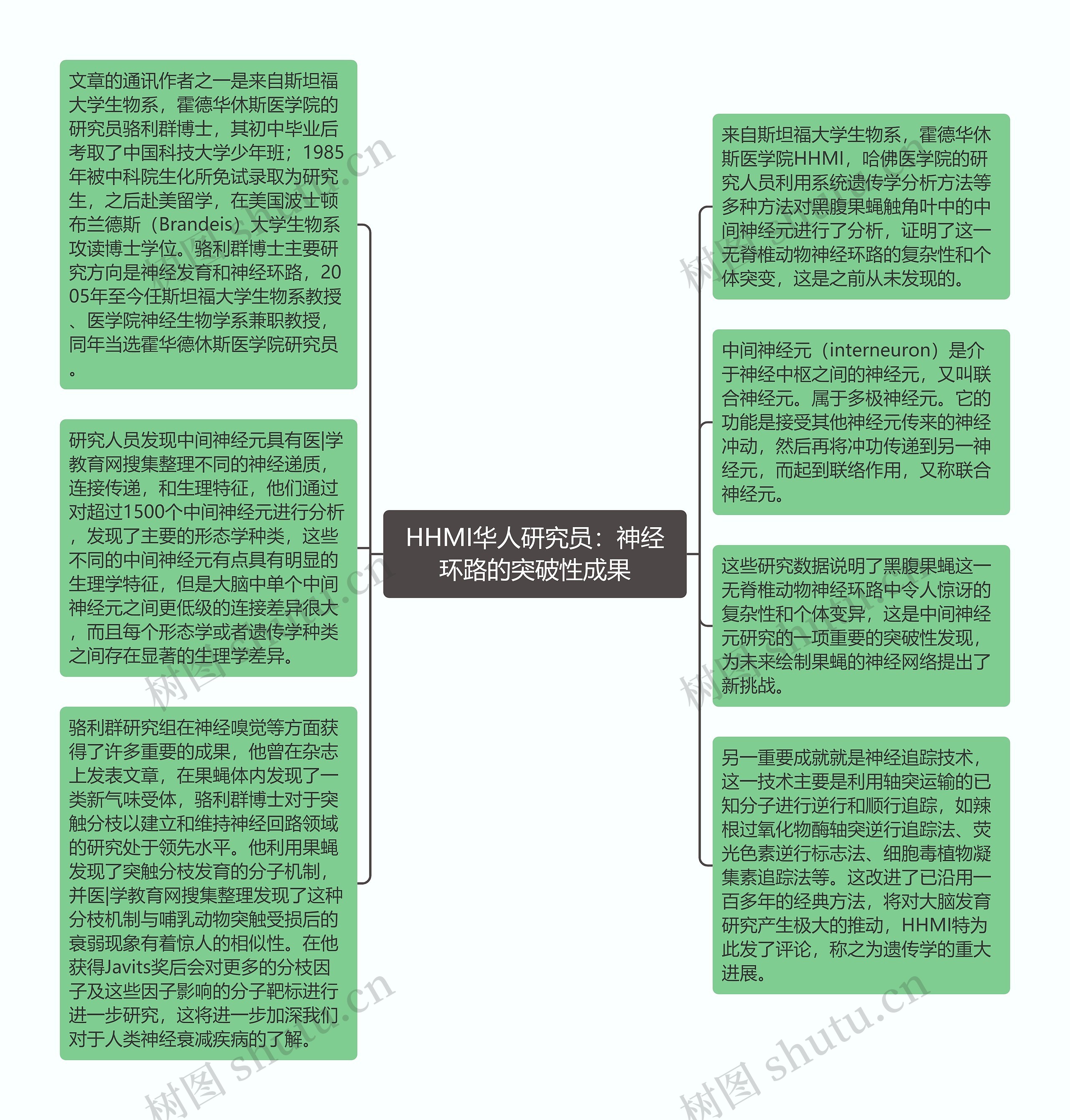 HHMI华人研究员：神经环路的突破性成果思维导图