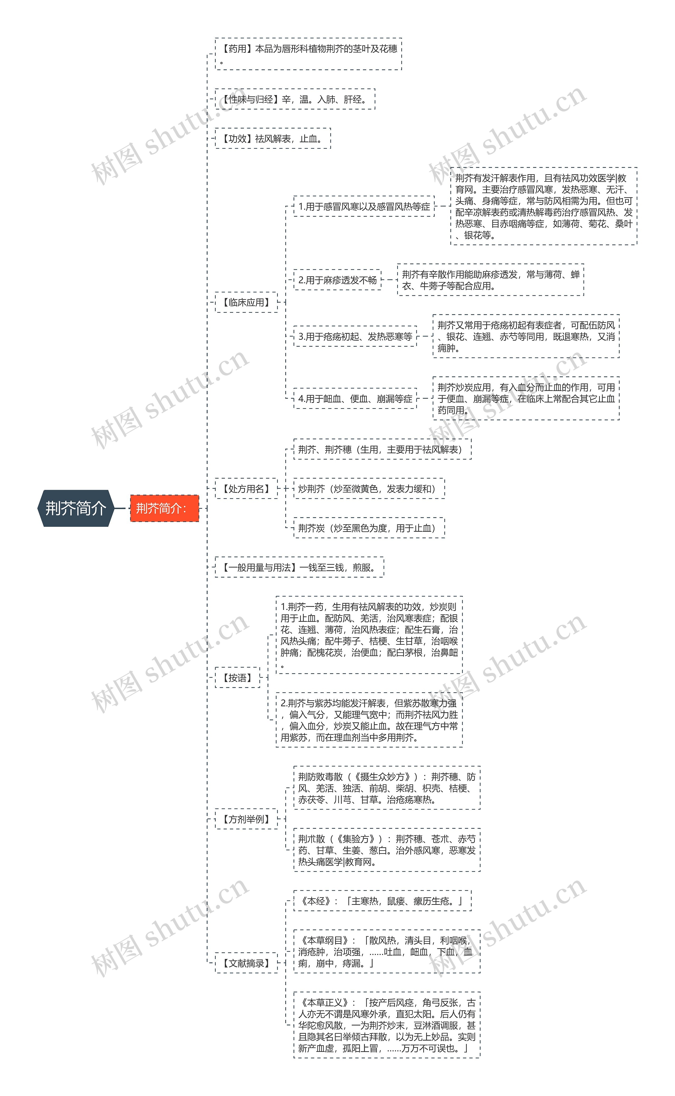 荆芥简介思维导图