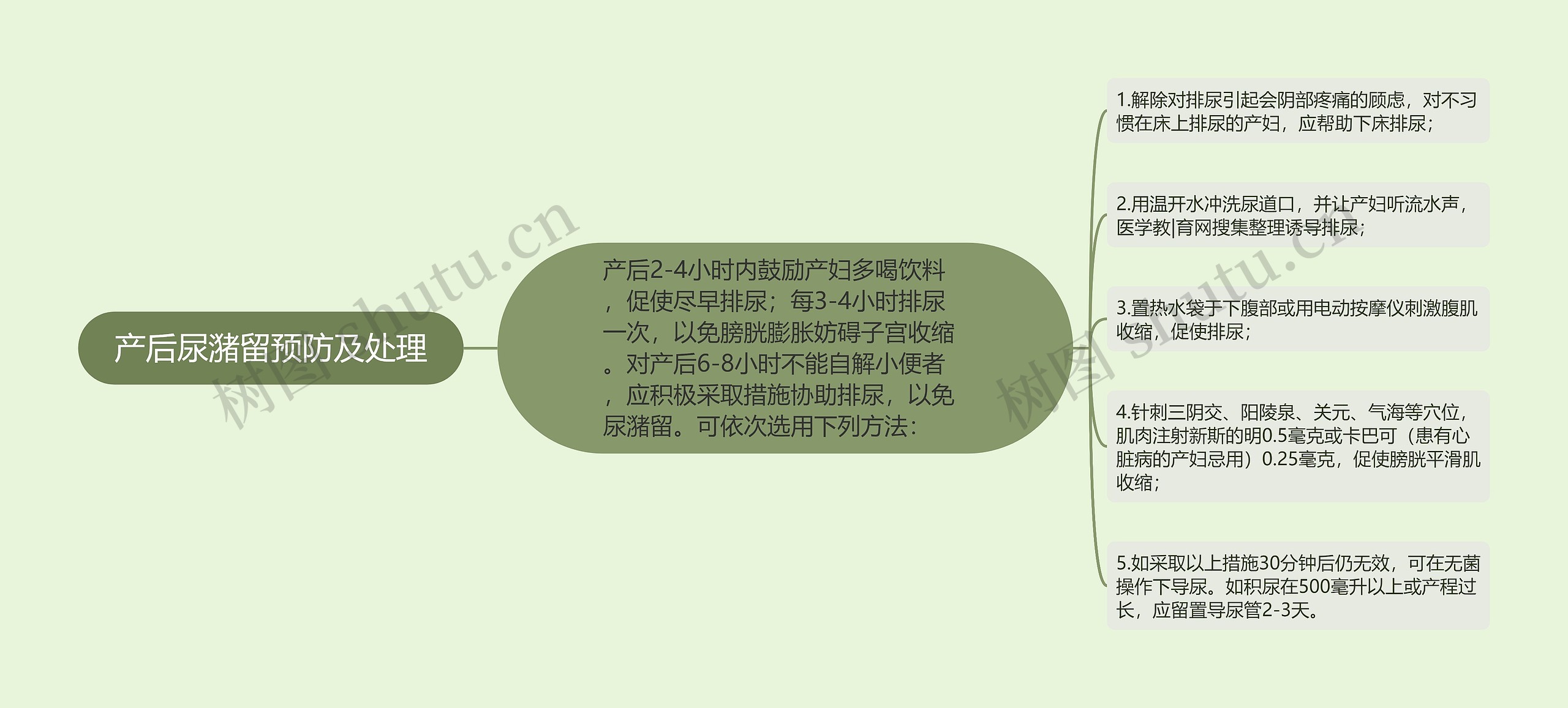 产后尿潴留预防及处理思维导图