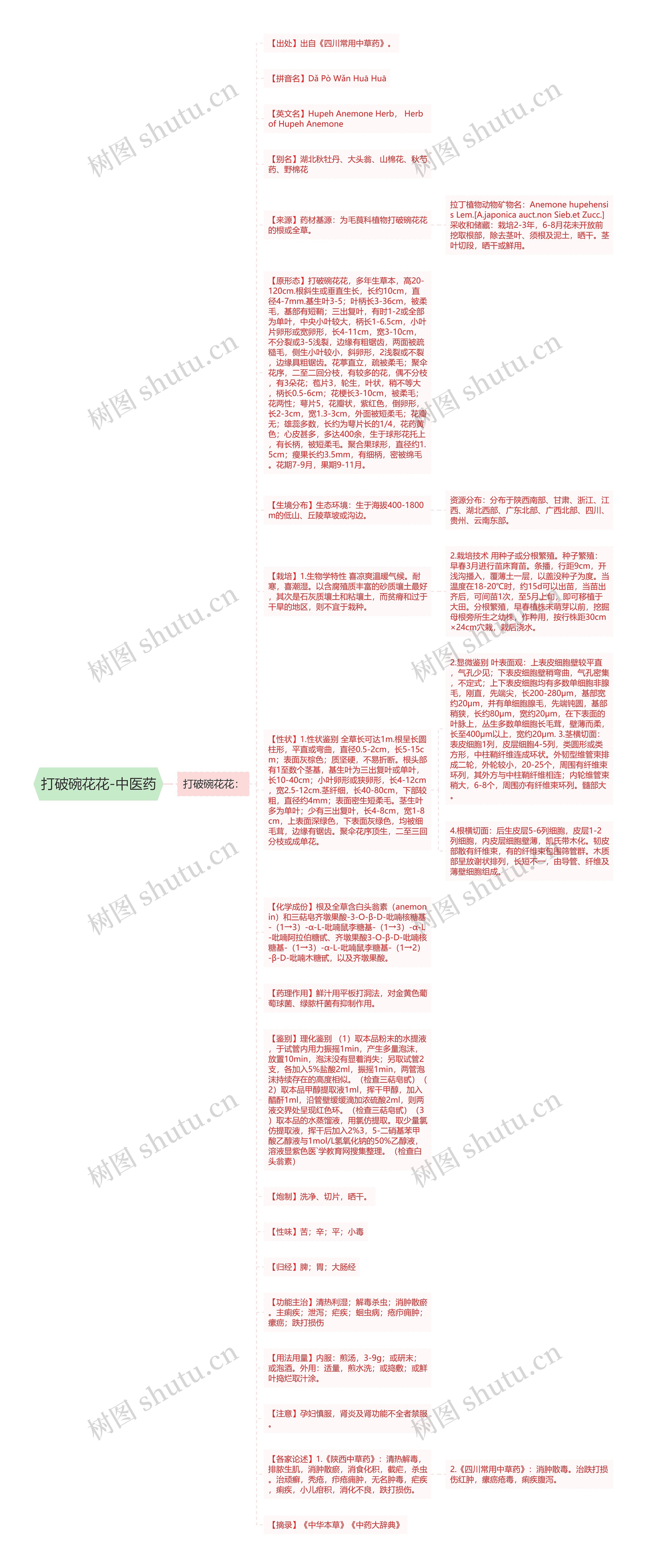 打破碗花花-中医药思维导图
