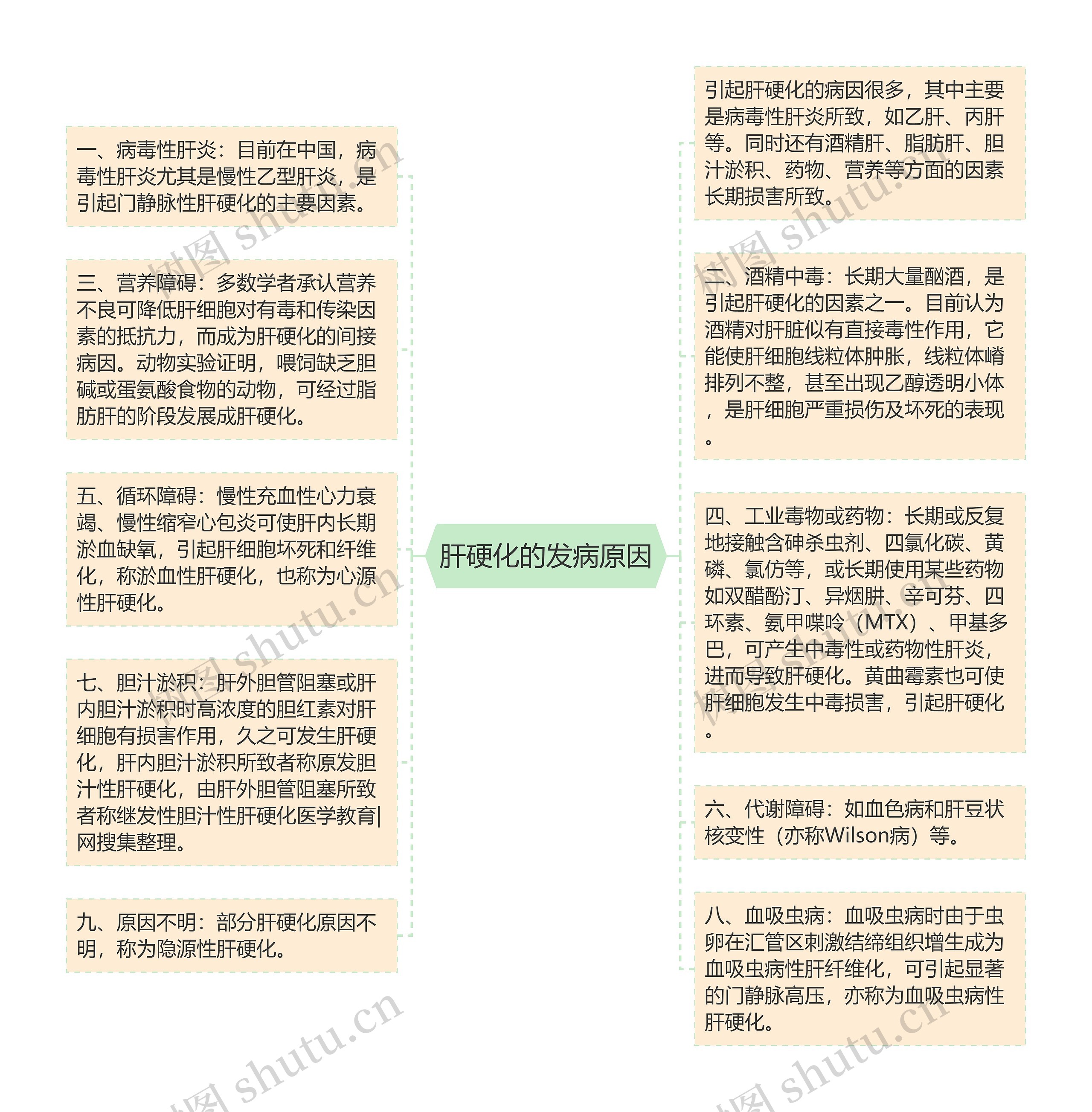 肝硬化的发病原因思维导图