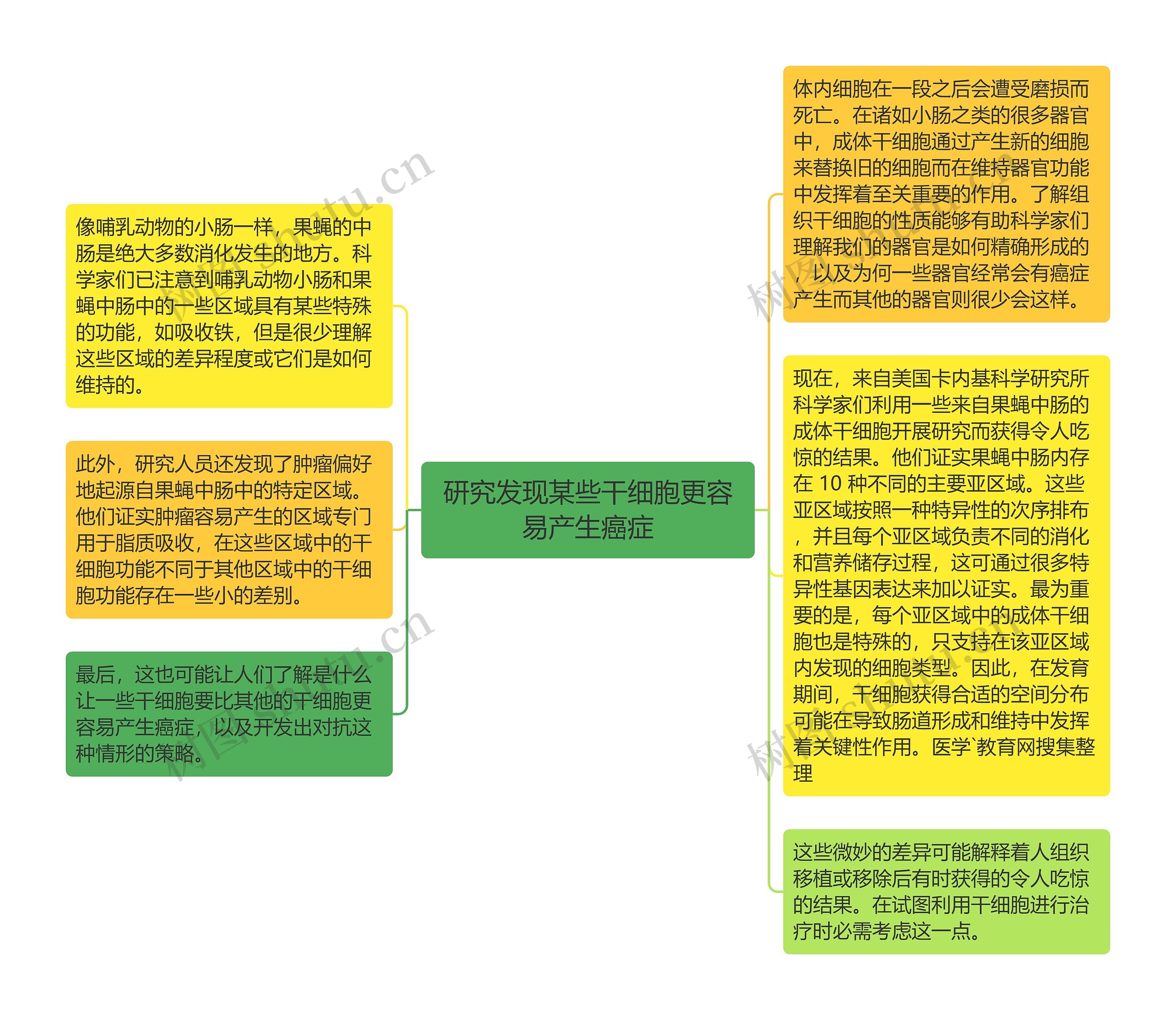 研究发现某些干细胞更容易产生癌症思维导图