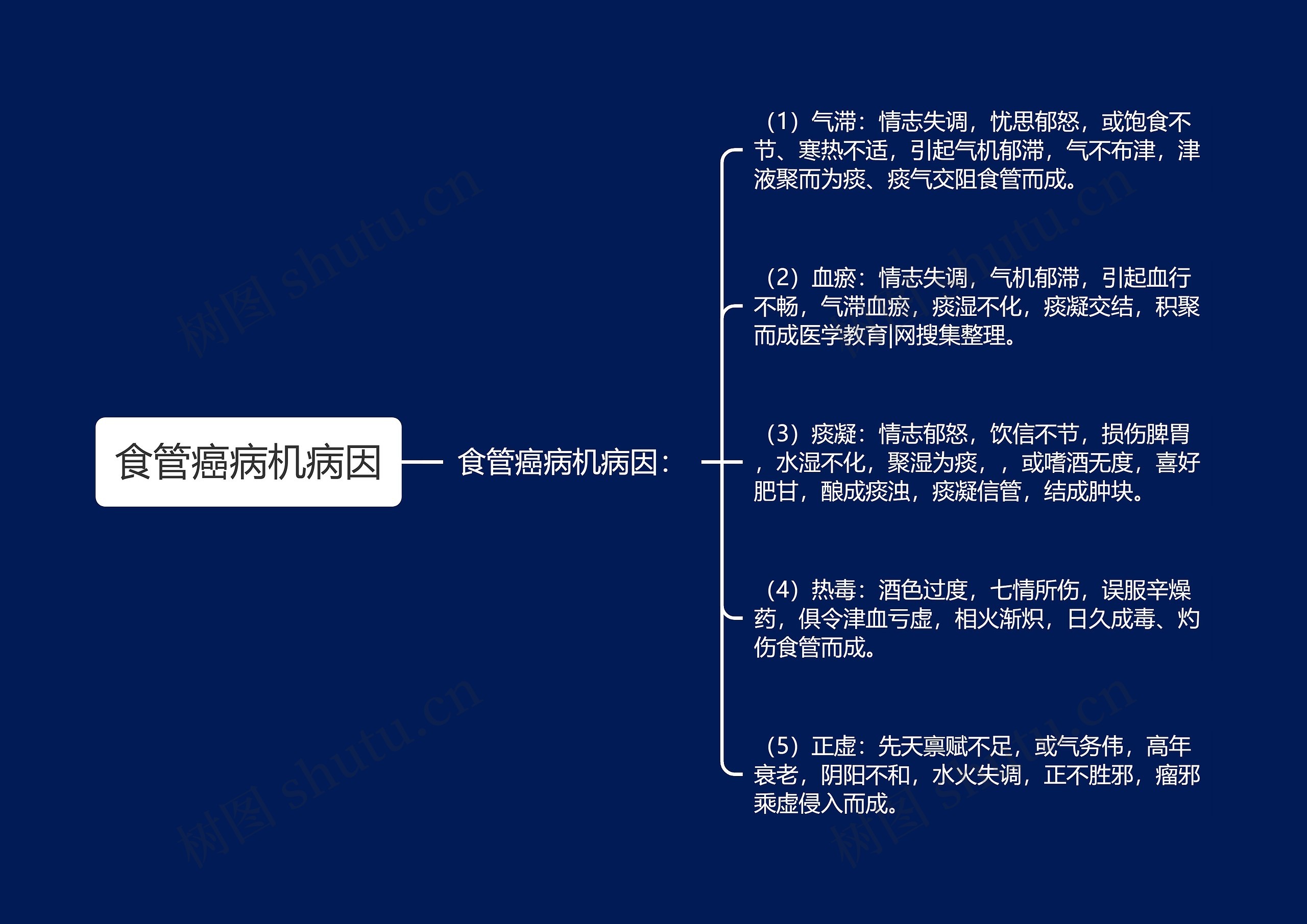 食管癌病机病因思维导图