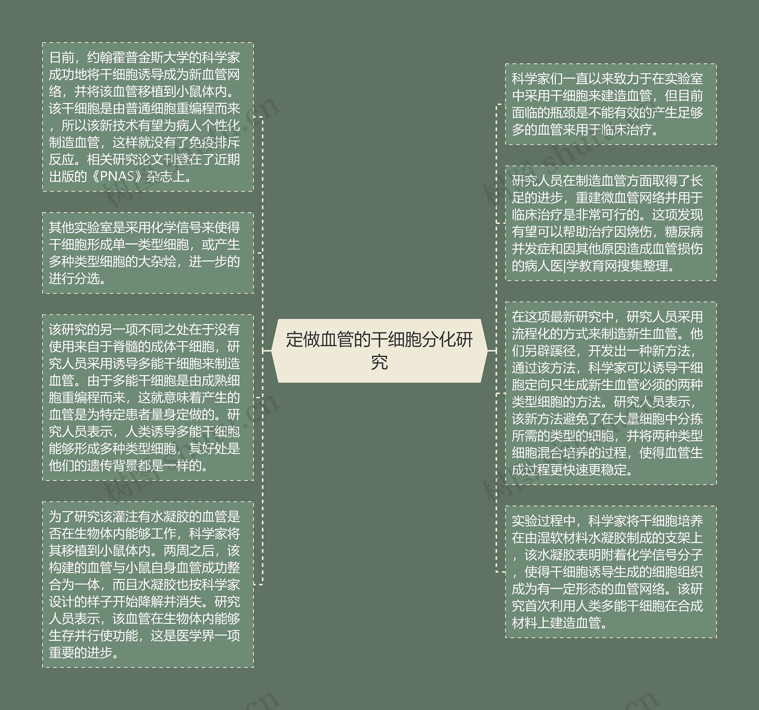 定做血管的干细胞分化研究思维导图