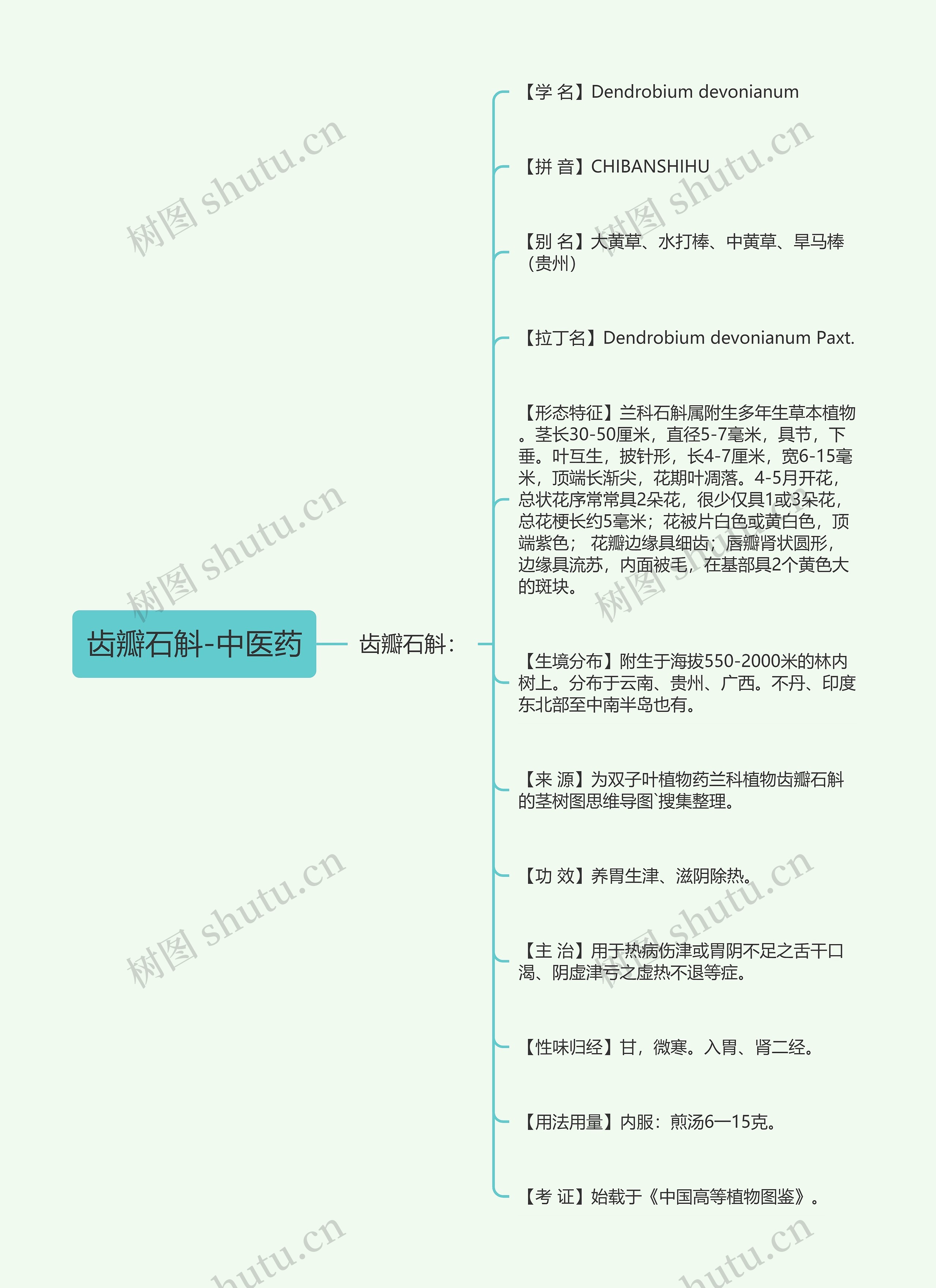 齿瓣石斛-中医药思维导图