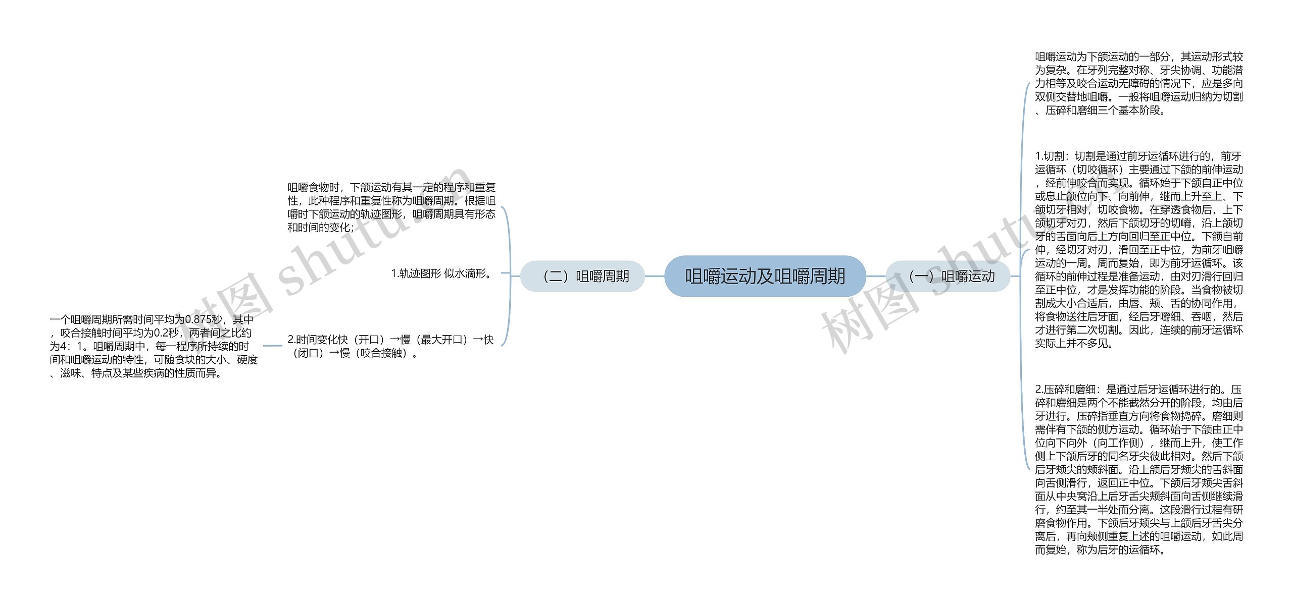 咀嚼运动及咀嚼周期思维导图