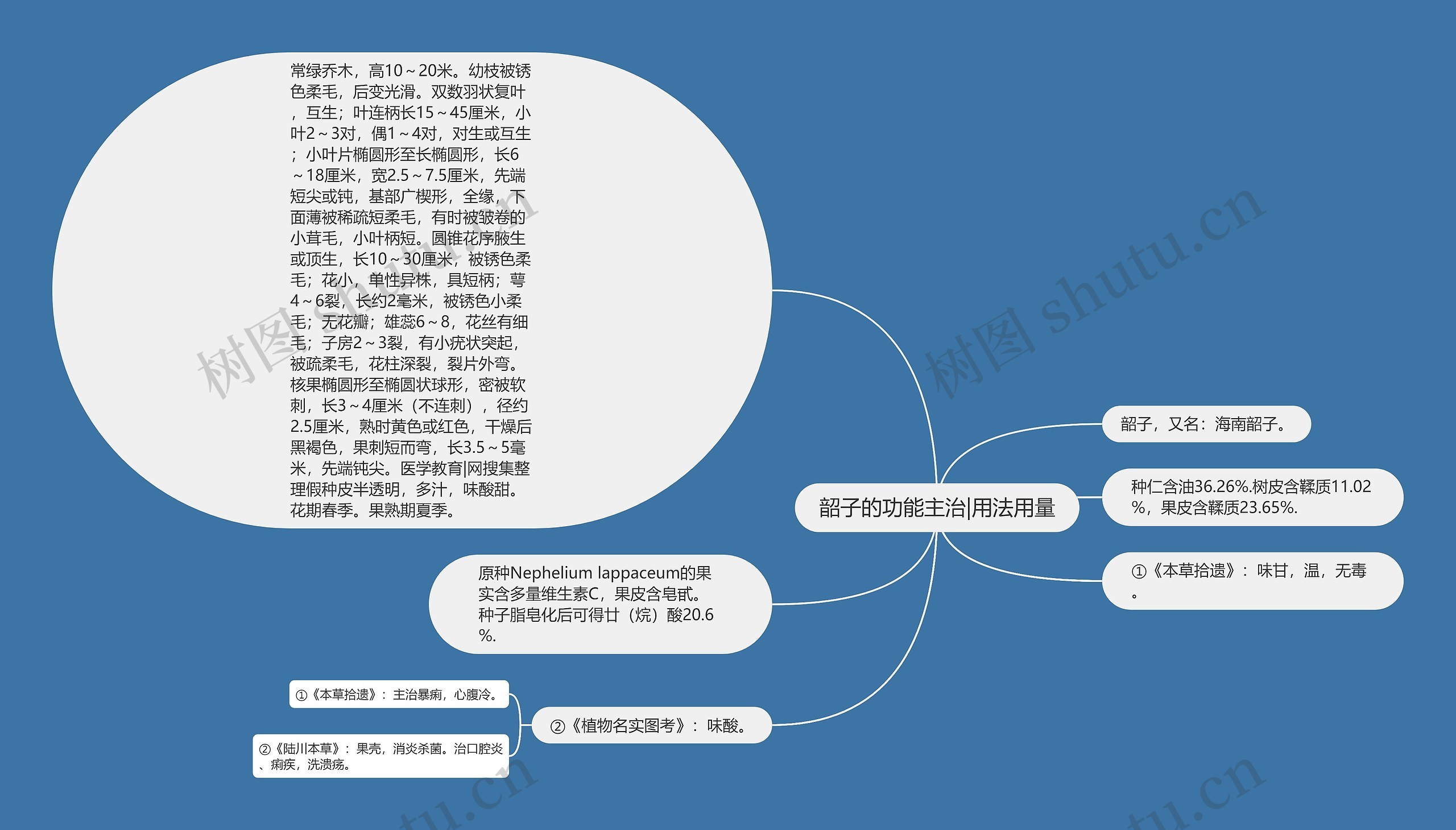 韶子的功能主治|用法用量