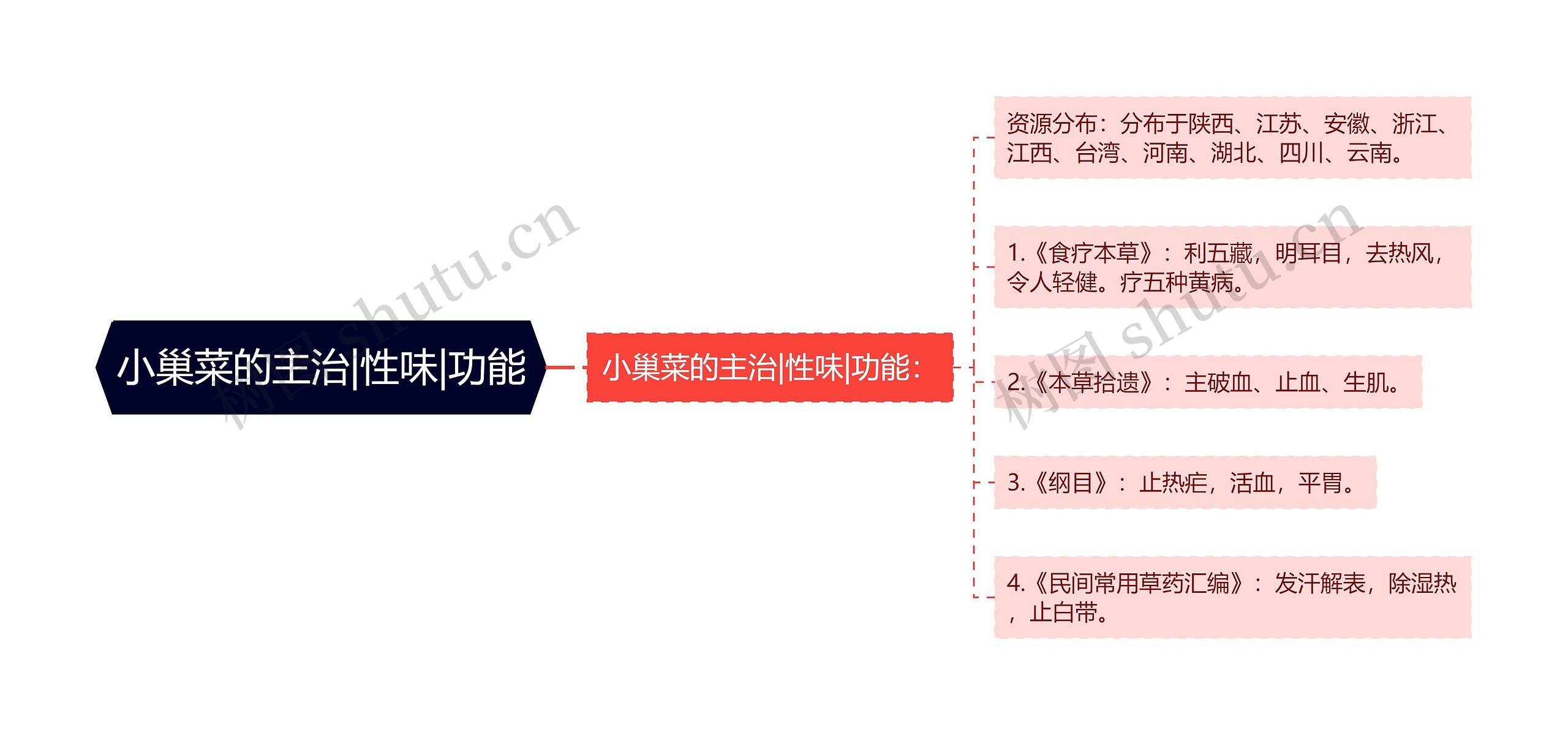 小巢菜的主治|性味|功能