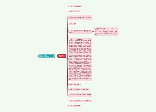 白芷叶-中医药