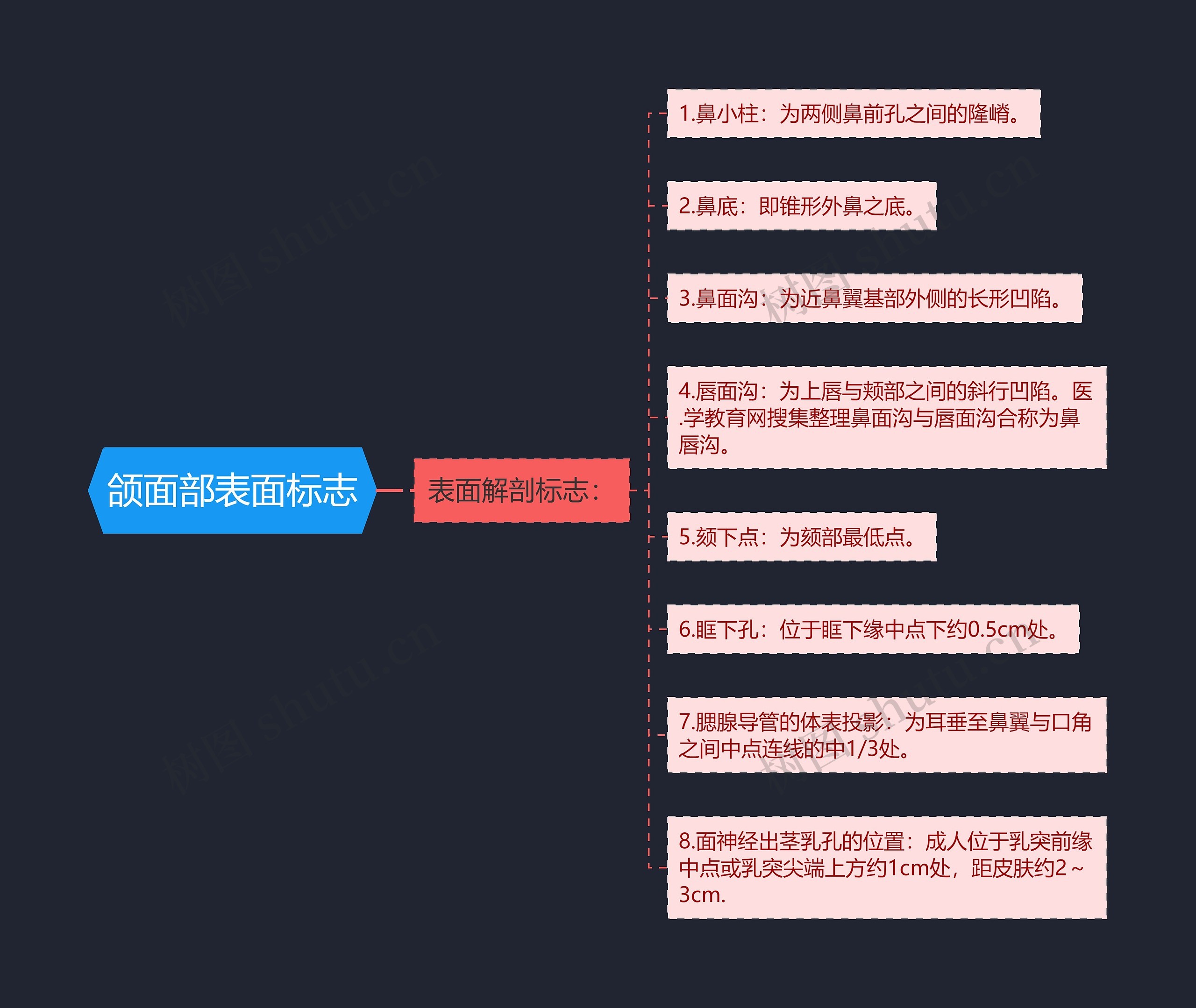 颌面部表面标志思维导图