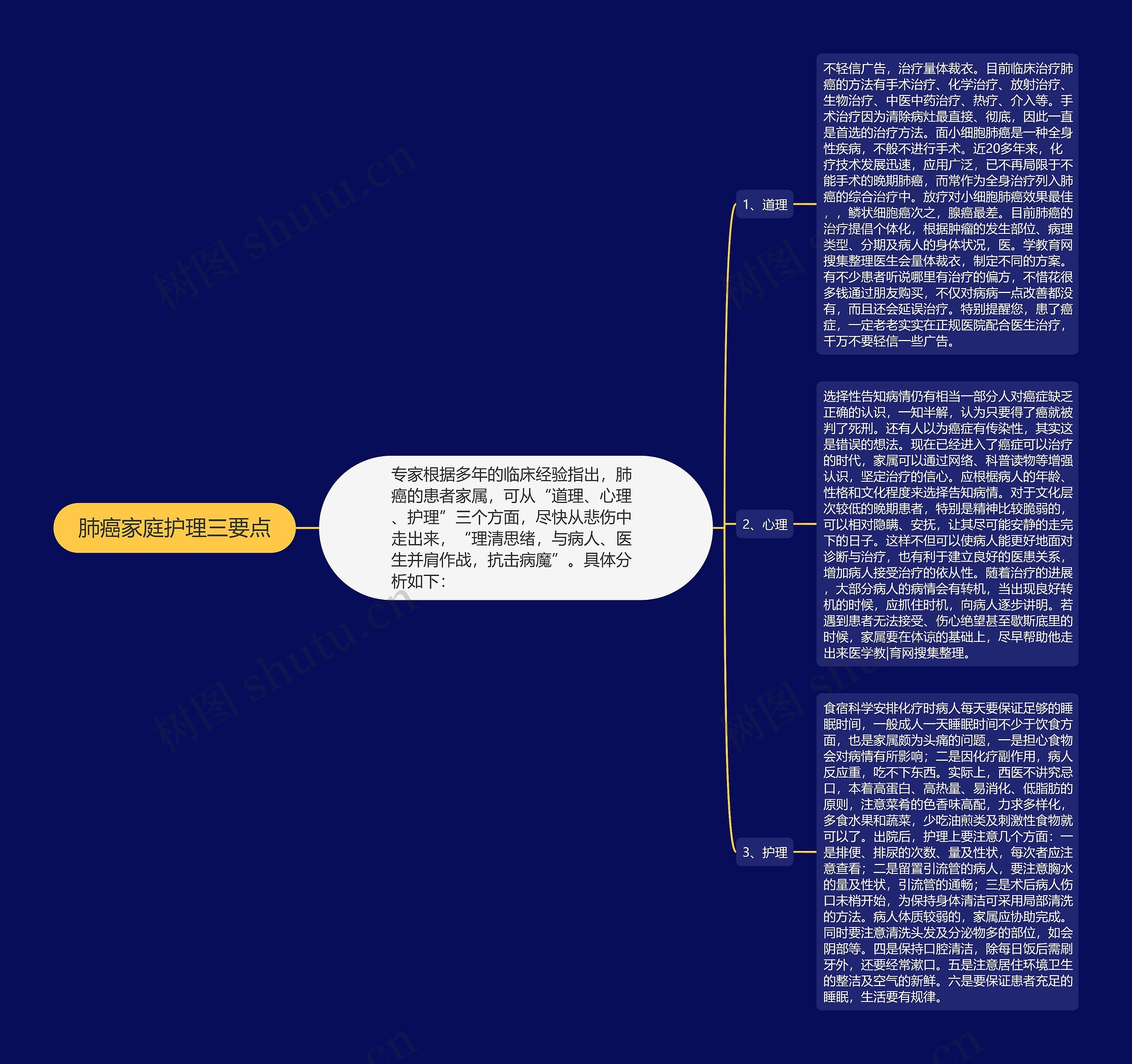 肺癌家庭护理三要点思维导图