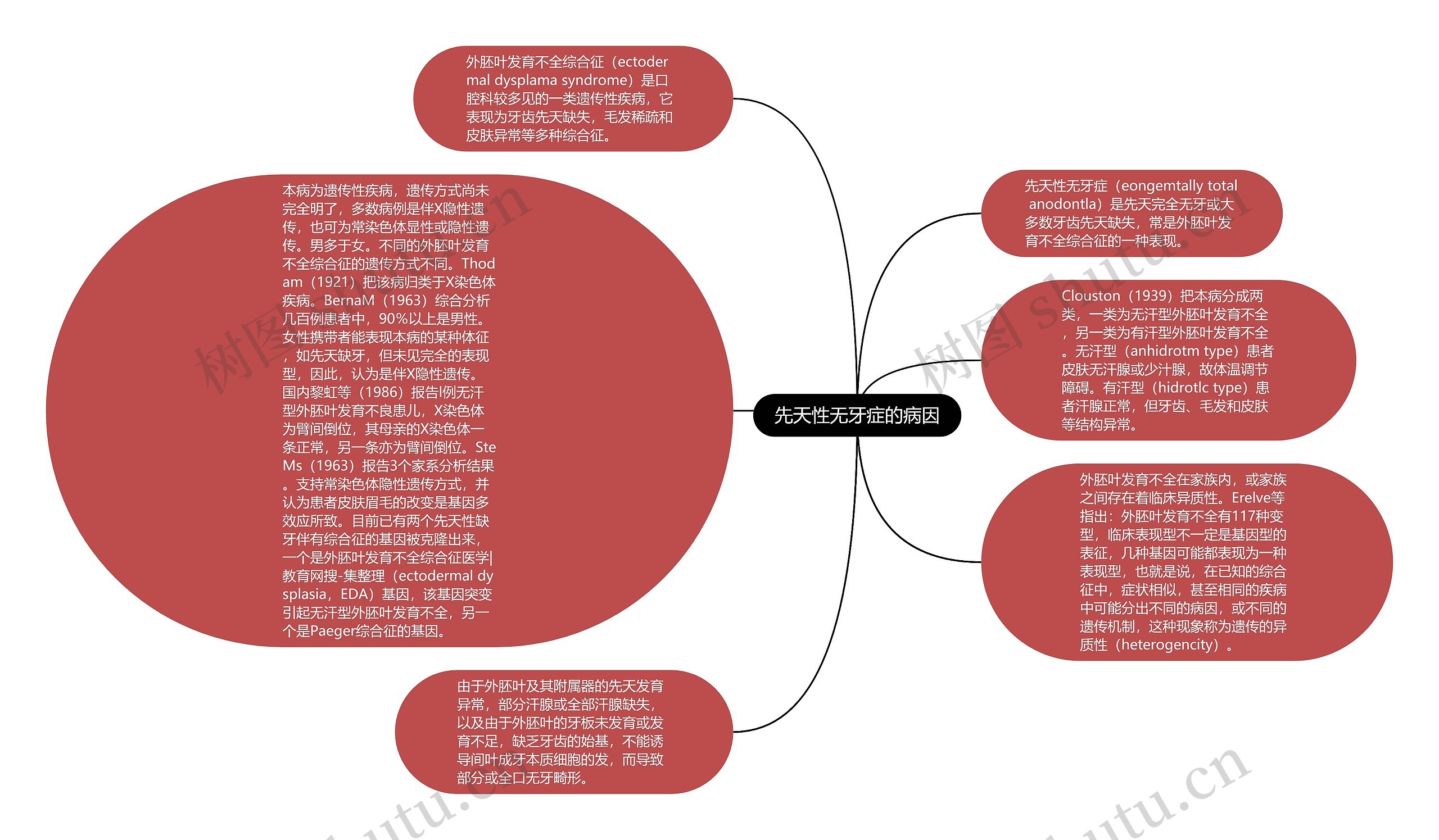 先天性无牙症的病因思维导图